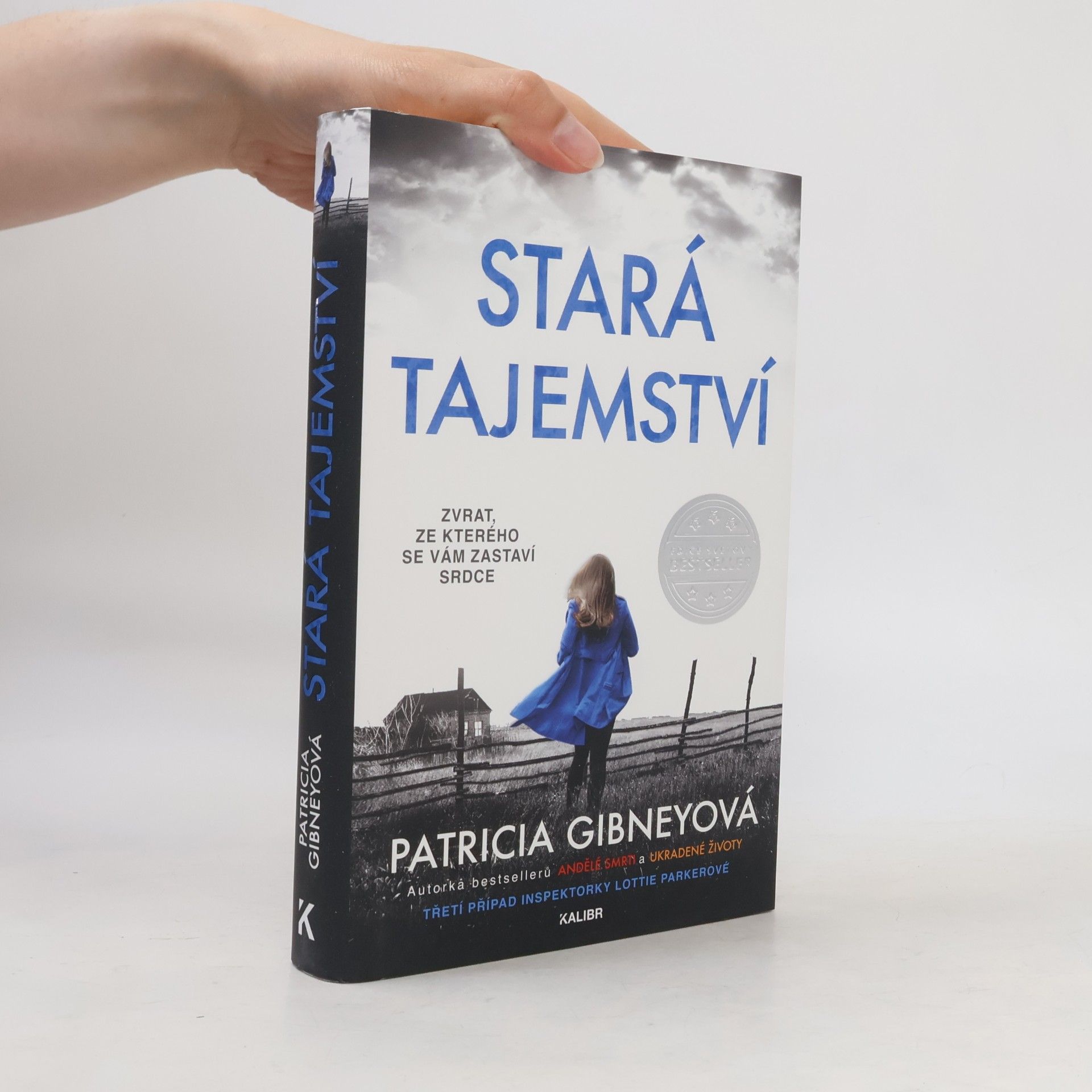 Patricia Gibney Stará tajemství