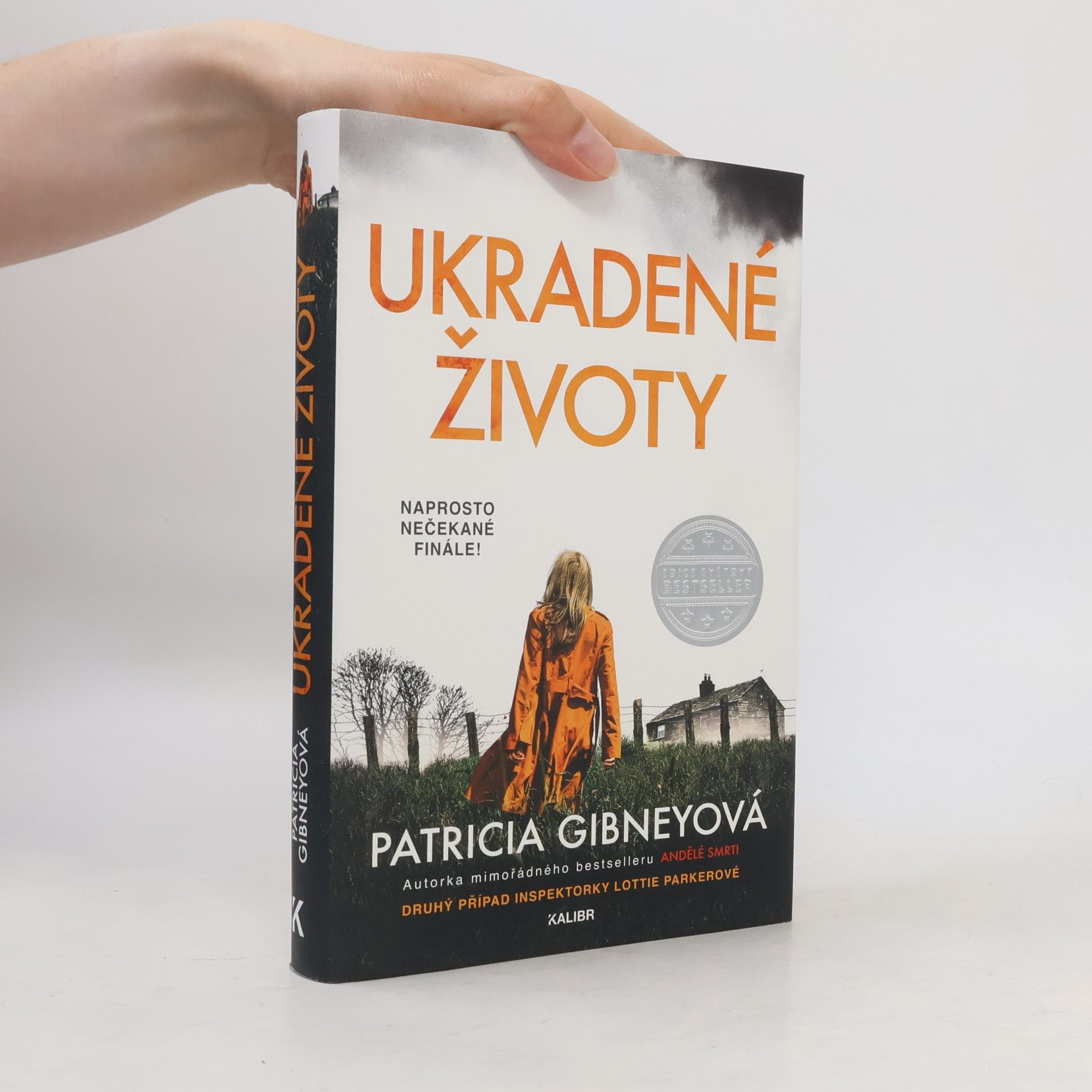 Patricia Gibney Ukradené životy