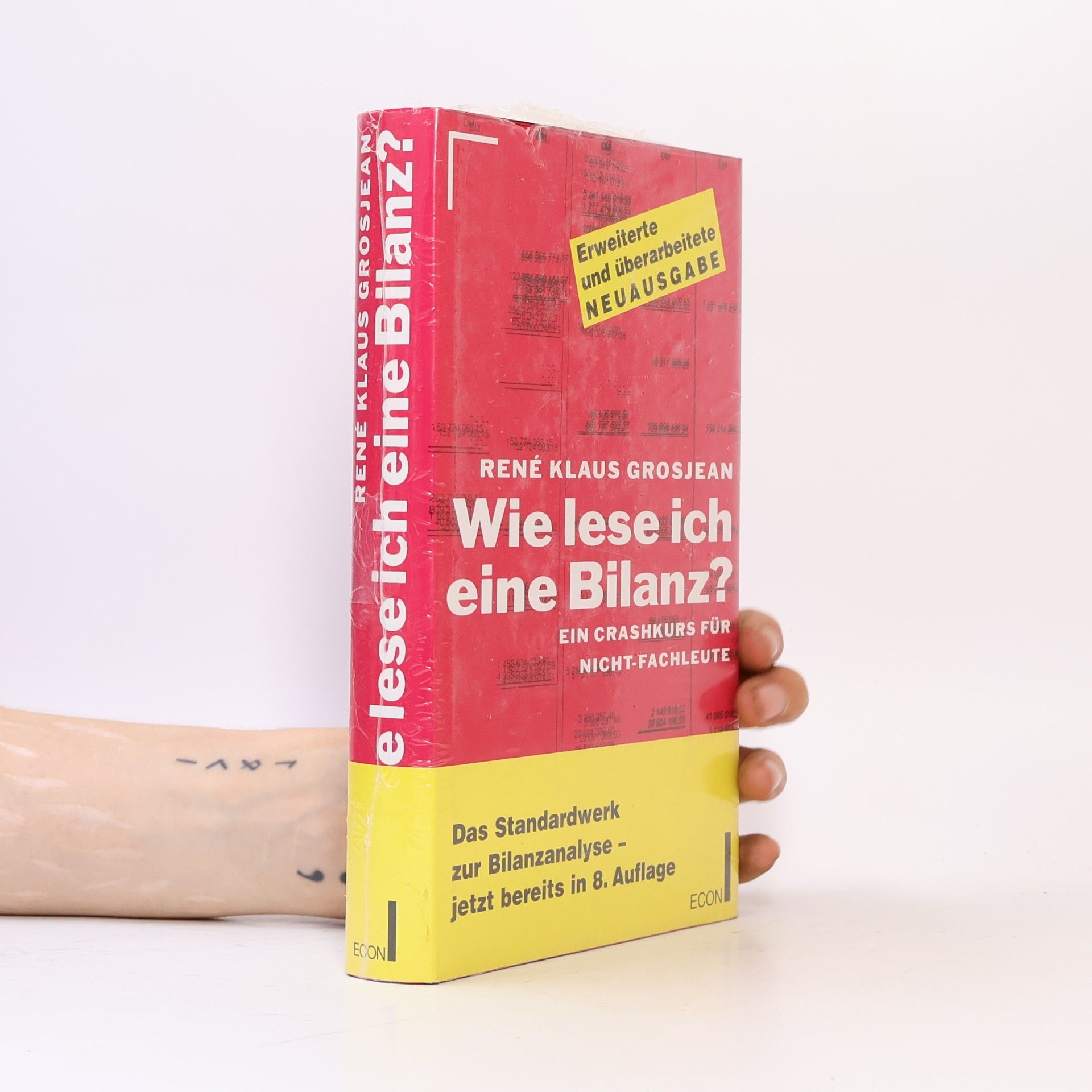 René Klaus Grosjean Wie lese ich eine Bilanz?