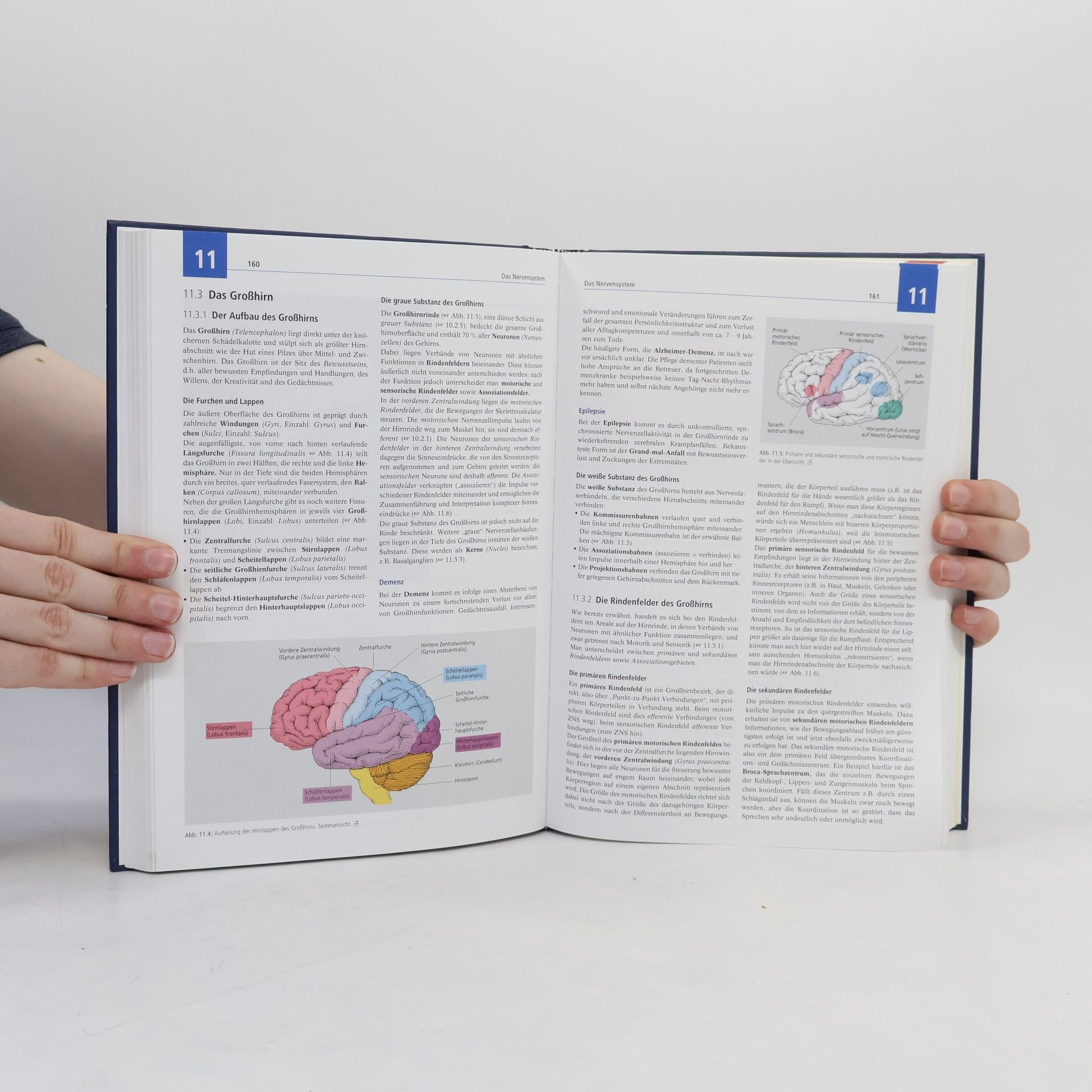 Nicole Menche Biologie, Anatomie, Physiologie