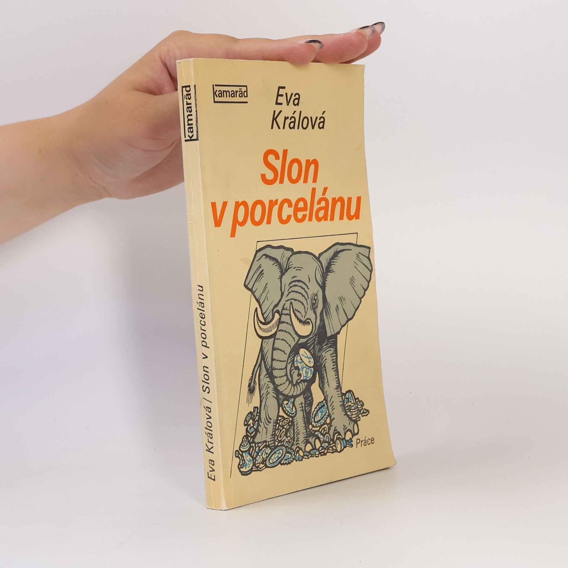 Slon v porcelánu