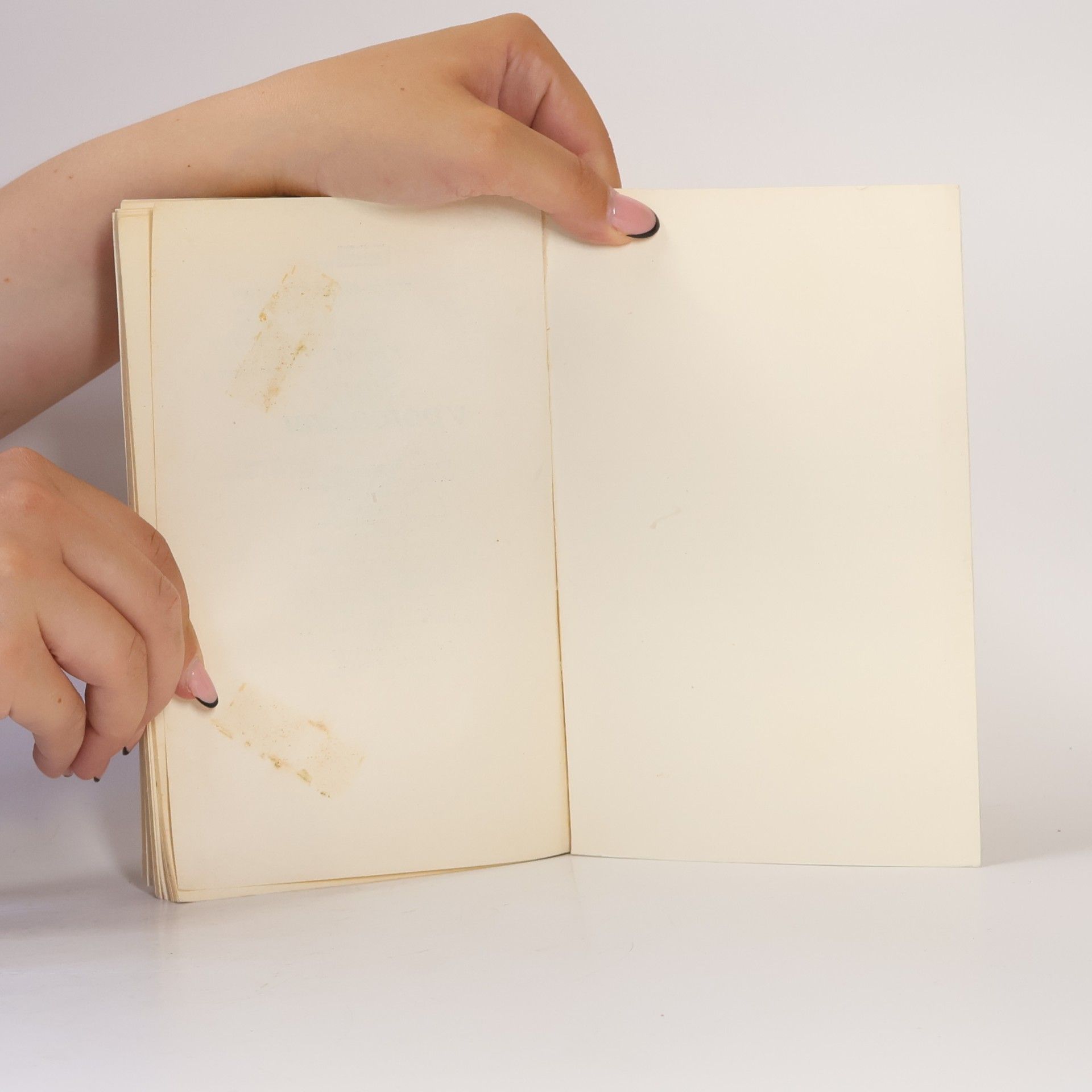 Králová Eva Slon v porcelánu