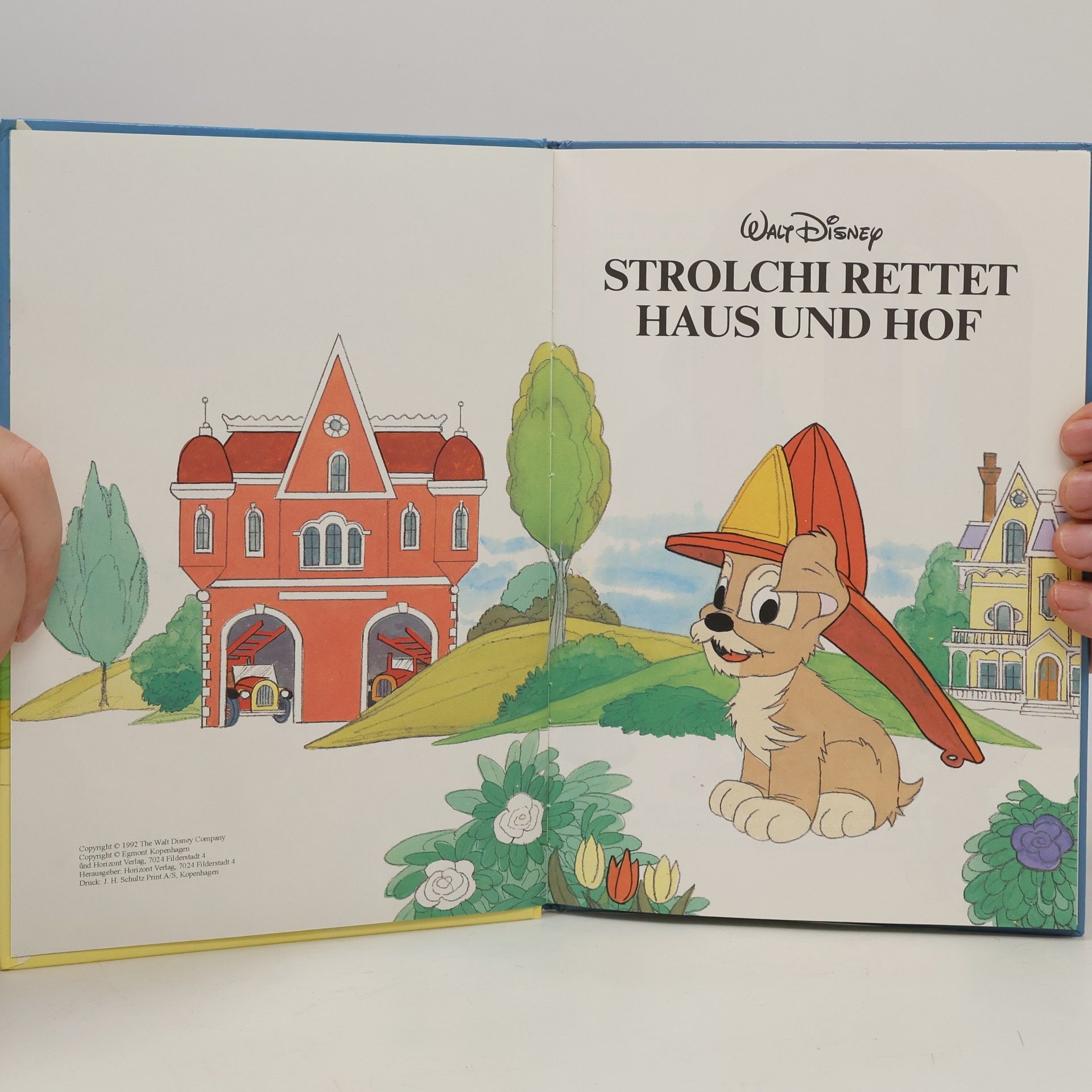 Various authors Strolchi rettet Haus und Hof