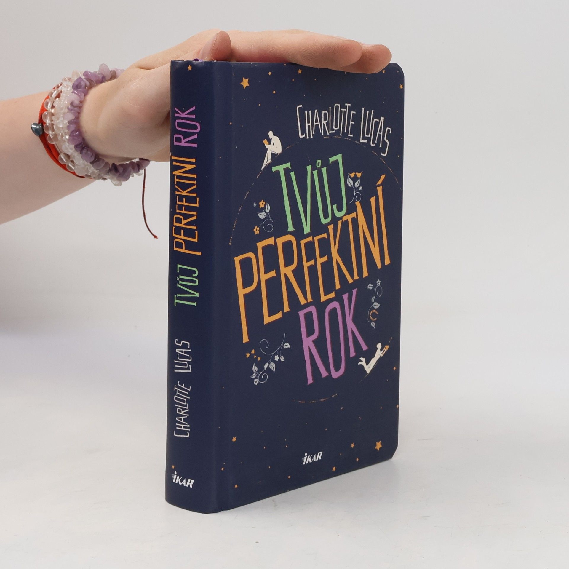 Charlotte Lucas Tvůj perfektní rok