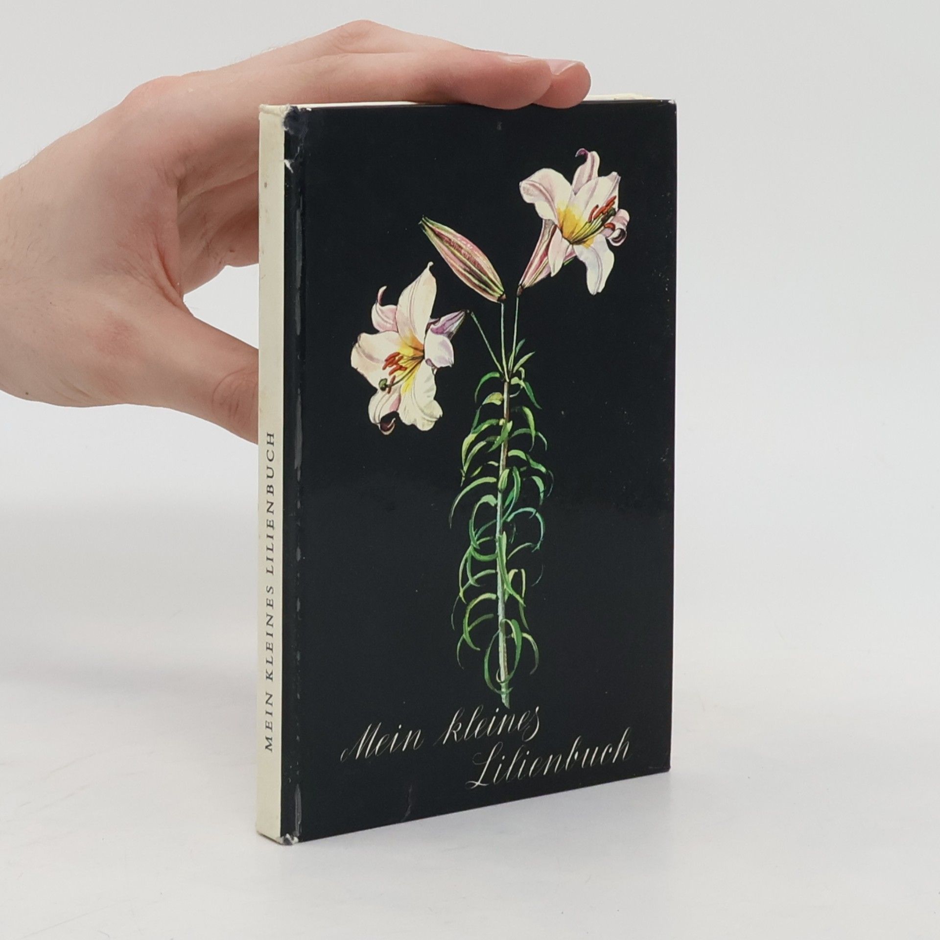 Mila LippmannPawlowski Mein kleines Lilienbuch