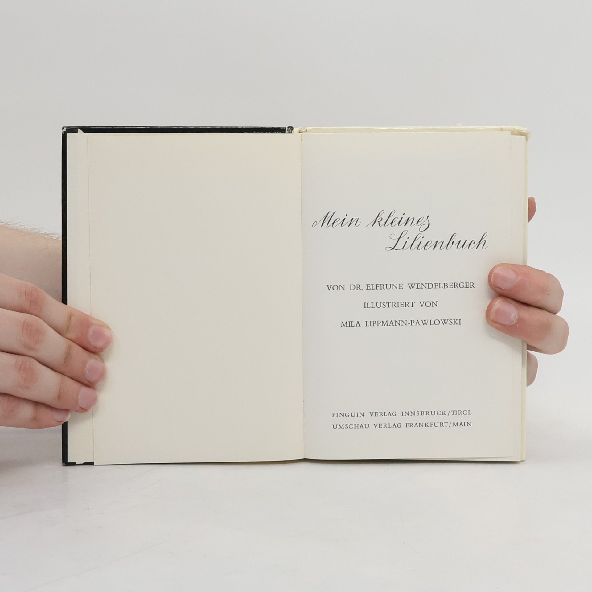 Elfrune Wendelberger Mein kleines Lilienbuch
