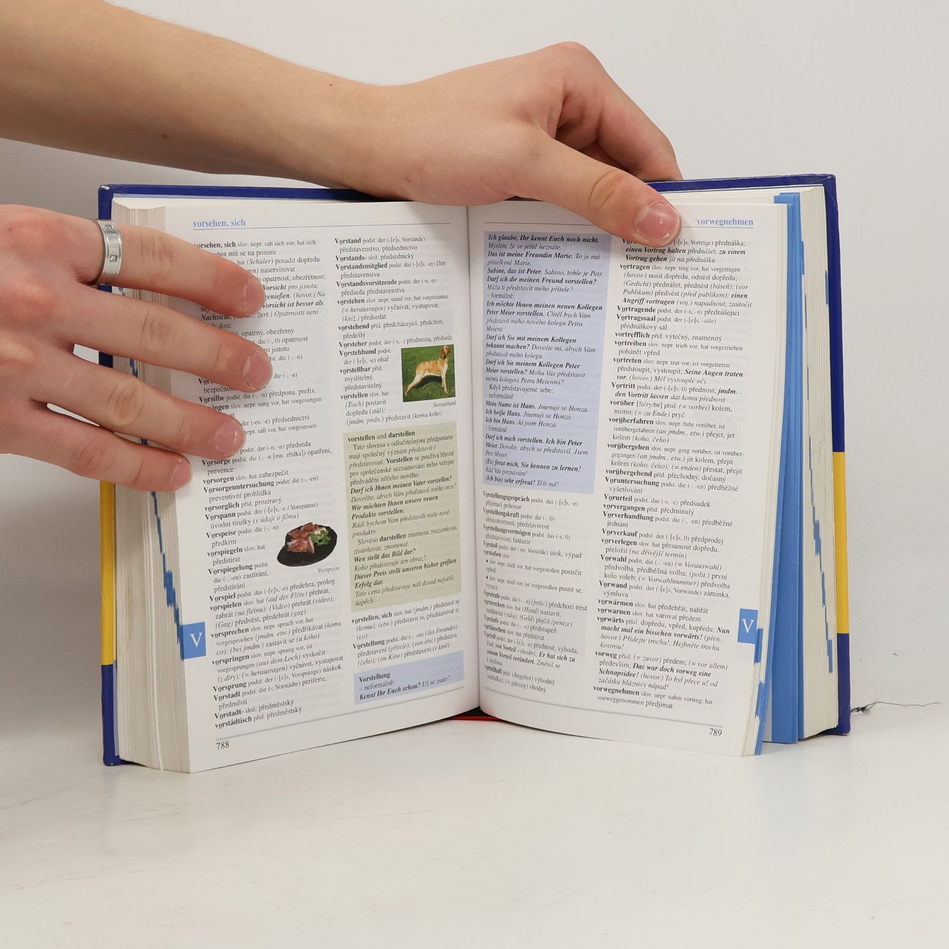Autorenkollektiv Ilustrovaný studijní slovník. Německo-český, česko-německý