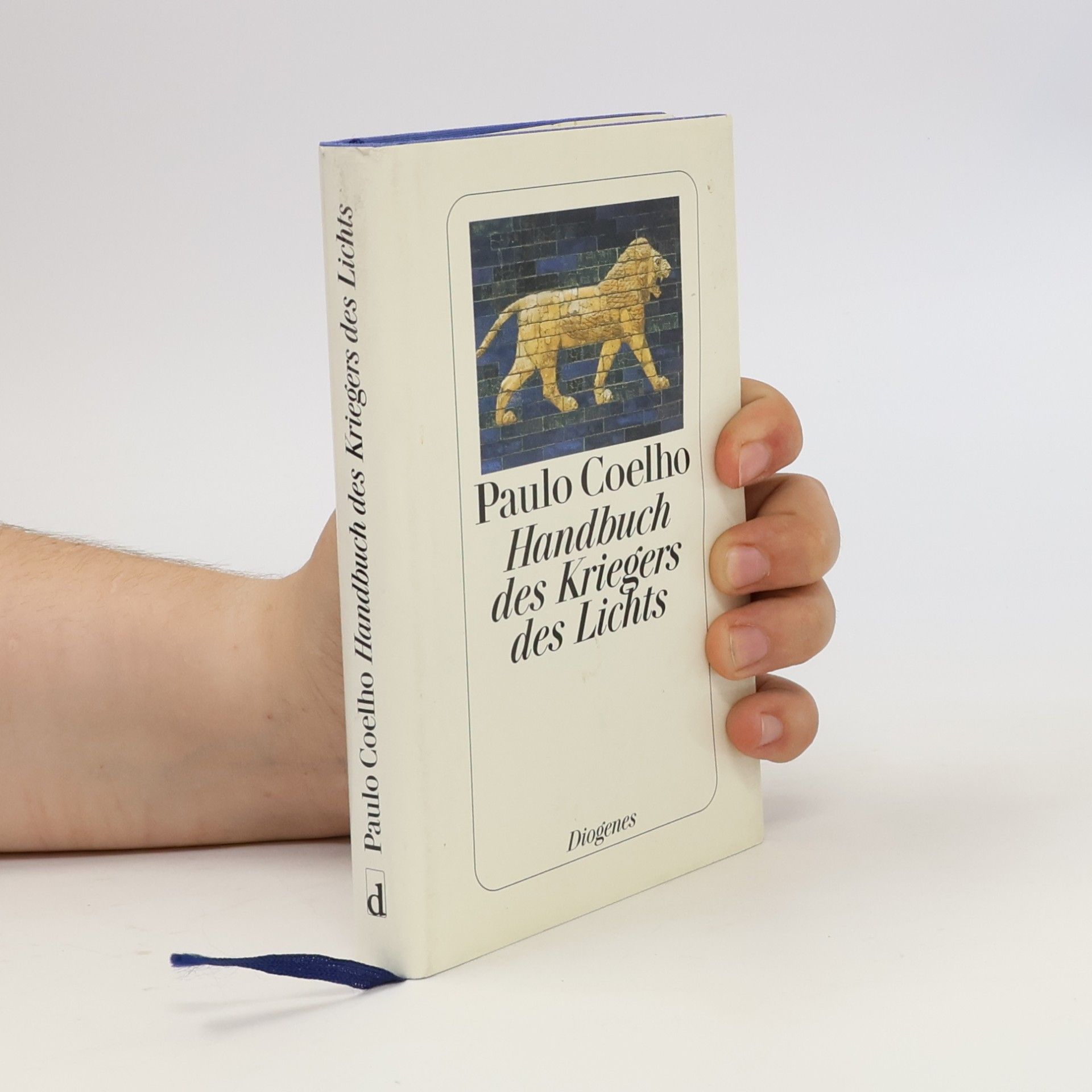 Paulo Coelho Handbuch des Kriegers des Lichts