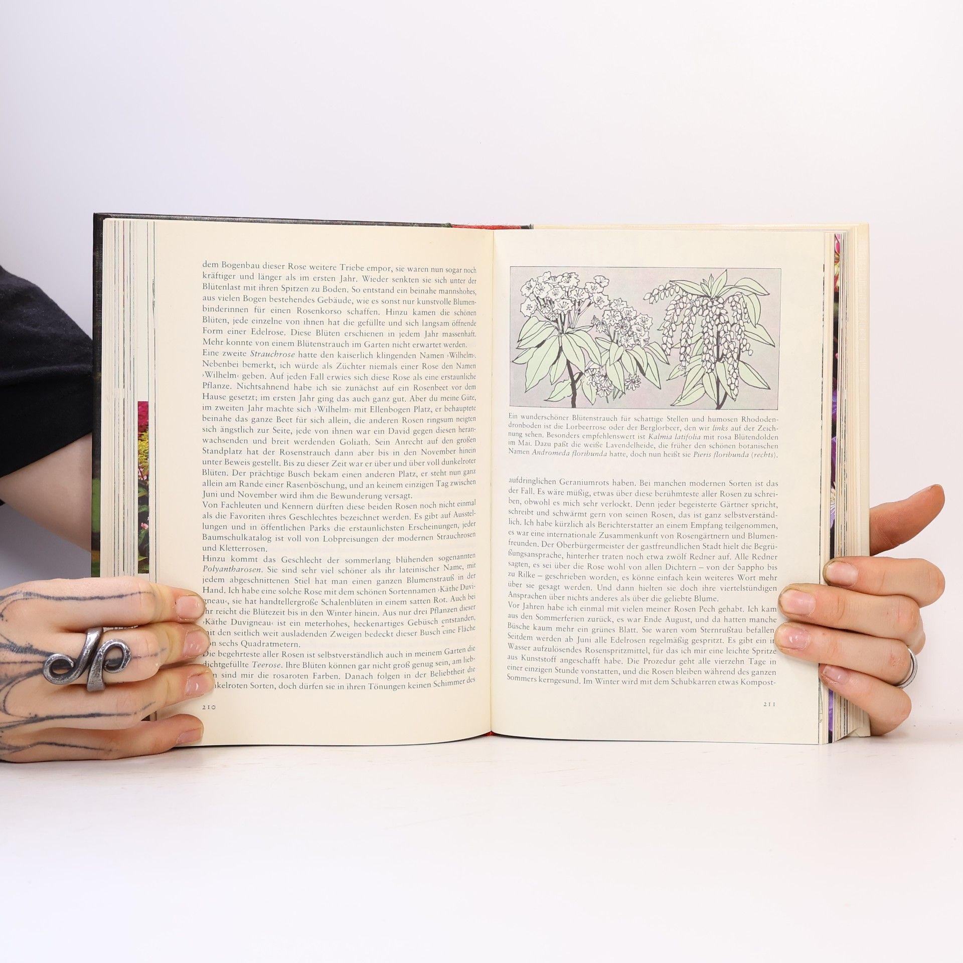 Karl Heinz Hanisch Knaurs Gartenbuch