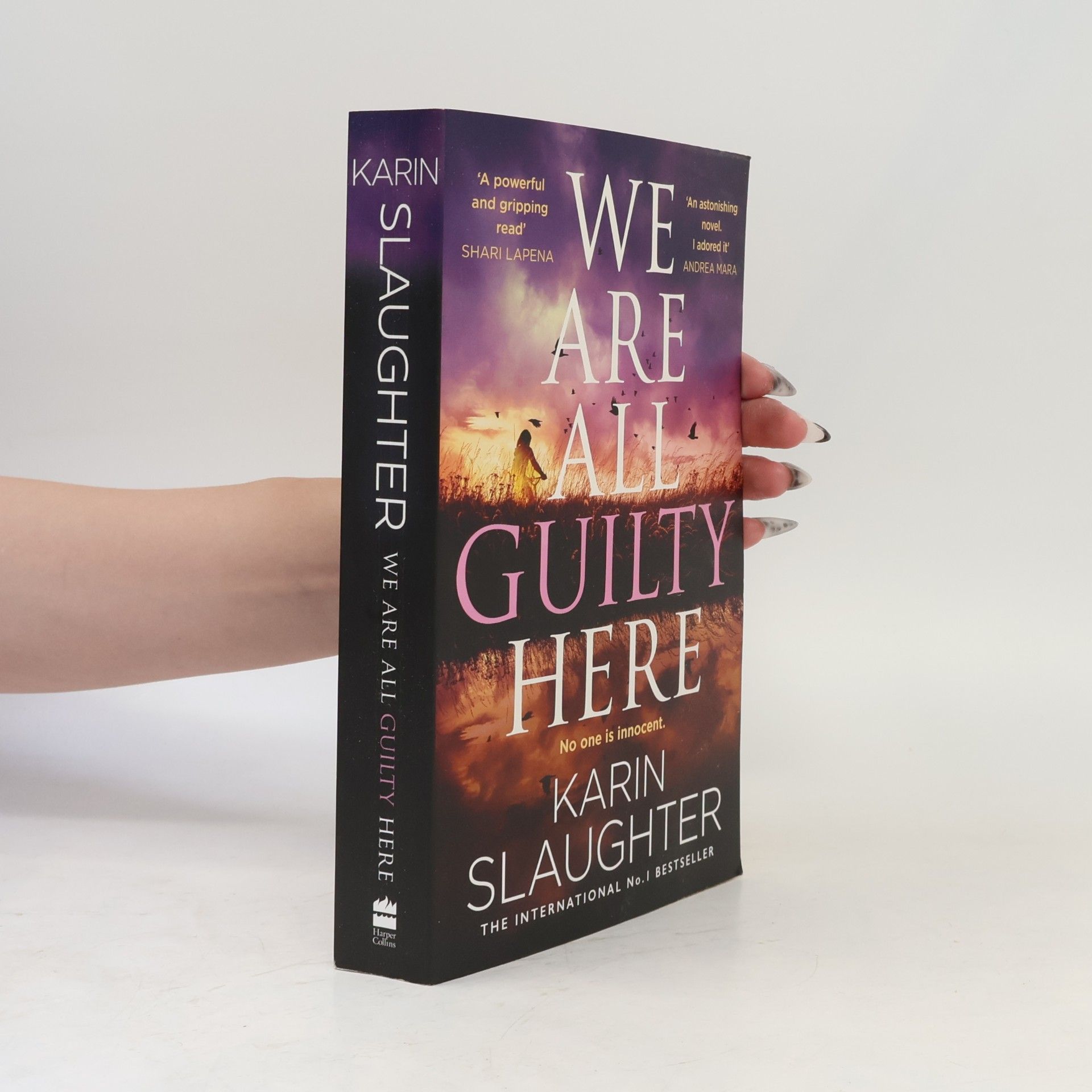 Karin Slaughter We Are All Guilty Here
