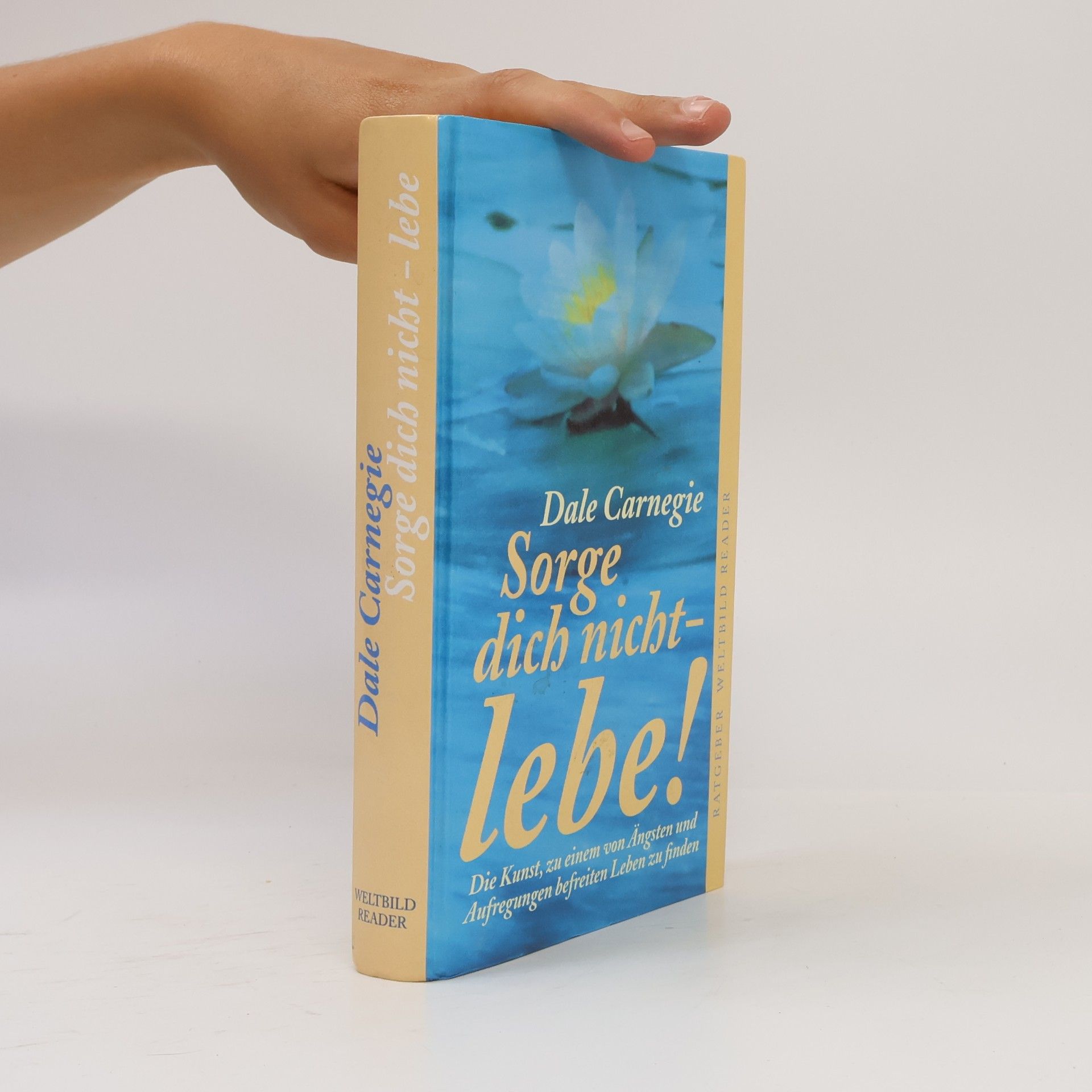 Dale Carnegie Sorge dich nicht - lebe!
