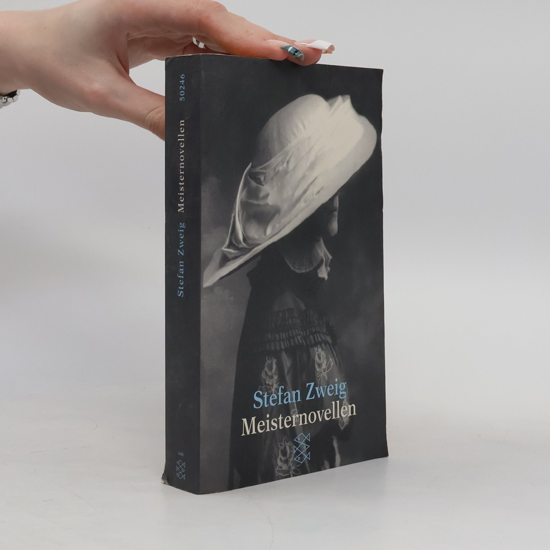 Stefan Zweig Meisternovellen