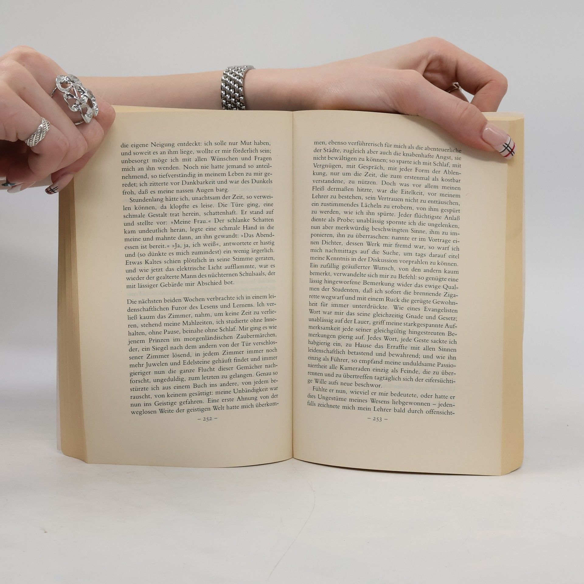 Stefan Zweig Meisternovellen