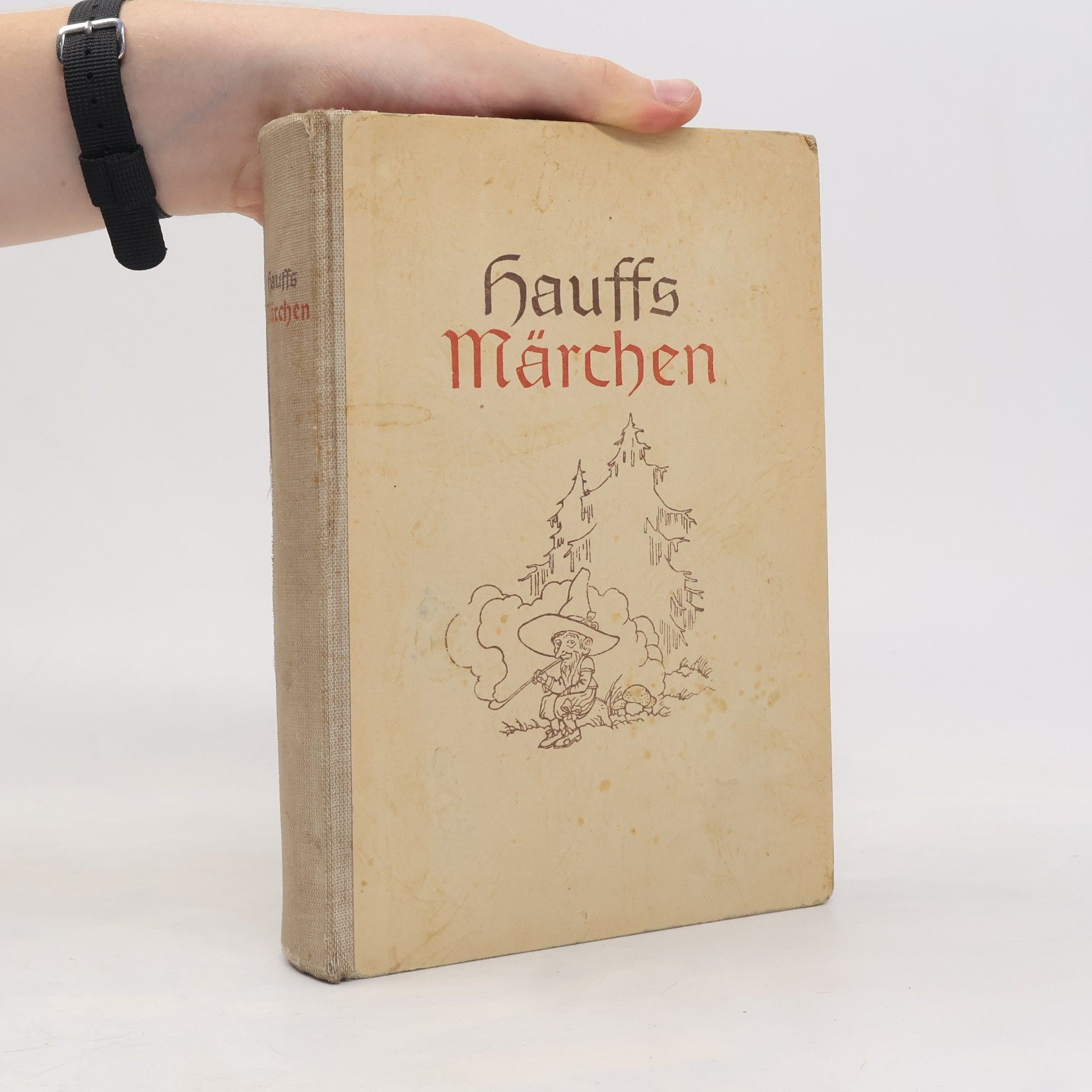 Wilhelm Hauff Hauffs Märchen