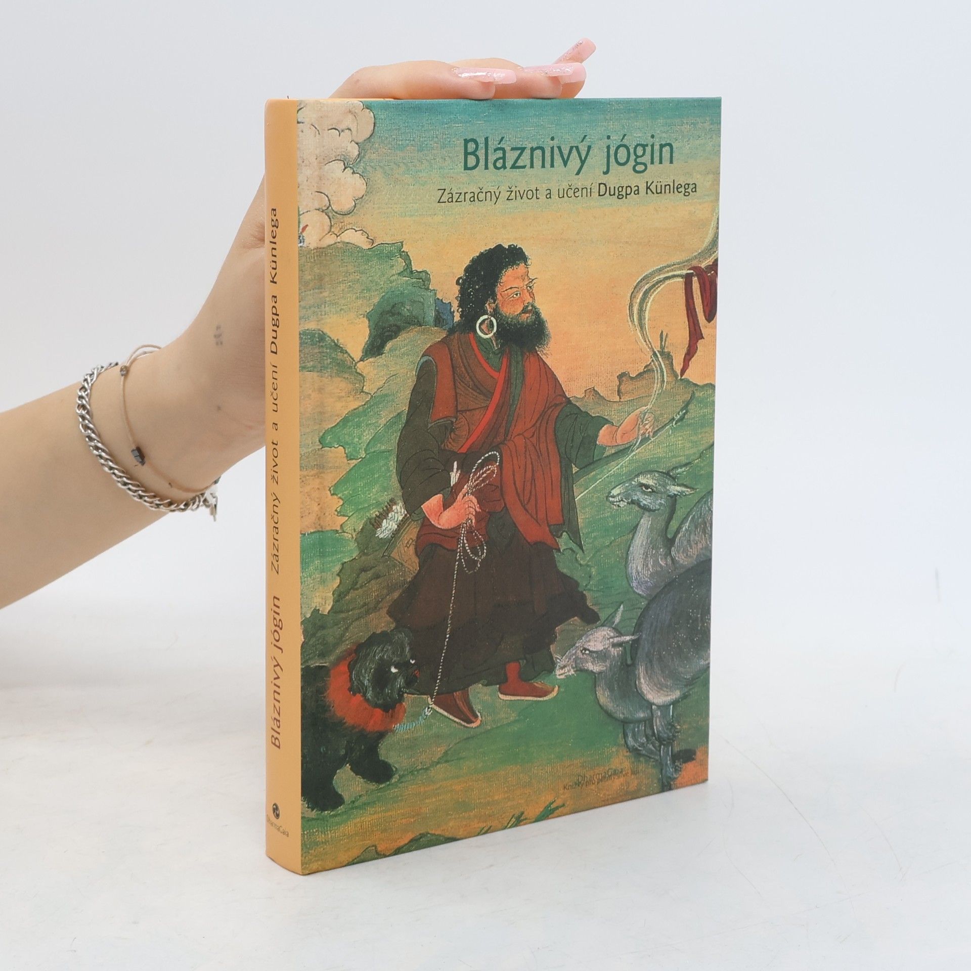 Various authors Bláznivý jógin