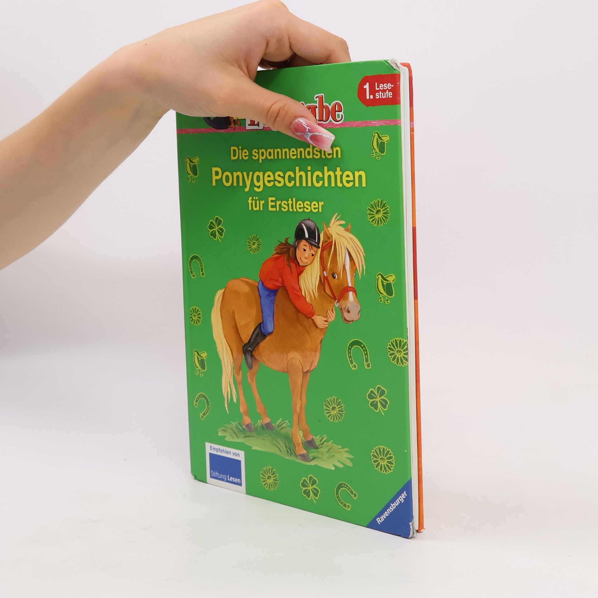 Doris Arend Die spannendsten Ponygeschichten für Erstleser