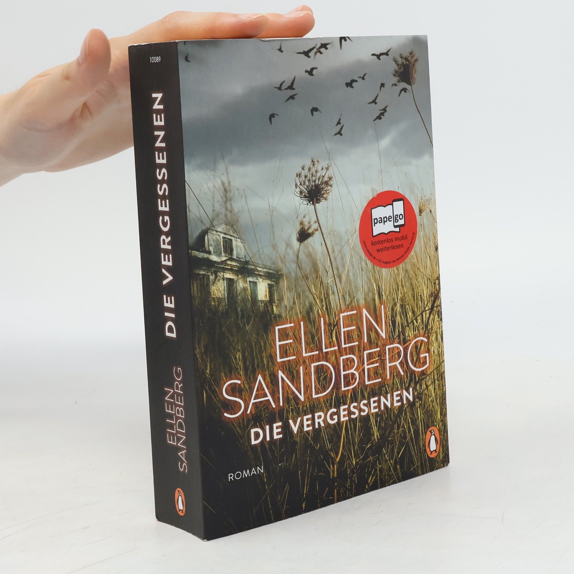 Ellen Sandberg Die Vergessenen