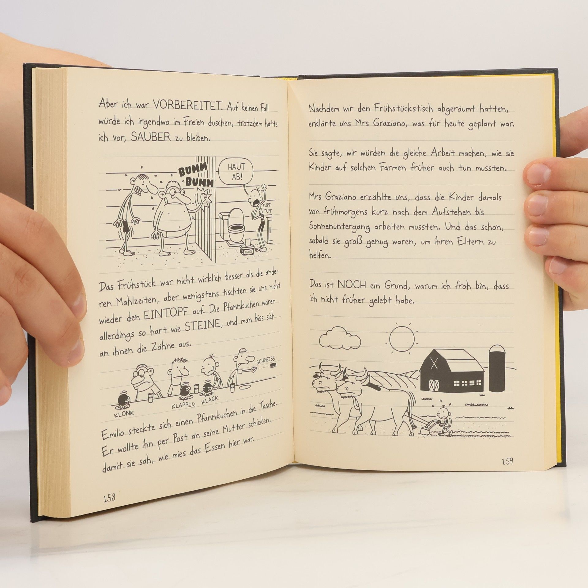 Dietmar Schmidt-Tapken Gregs Tagebuch 10. So ein Mist!