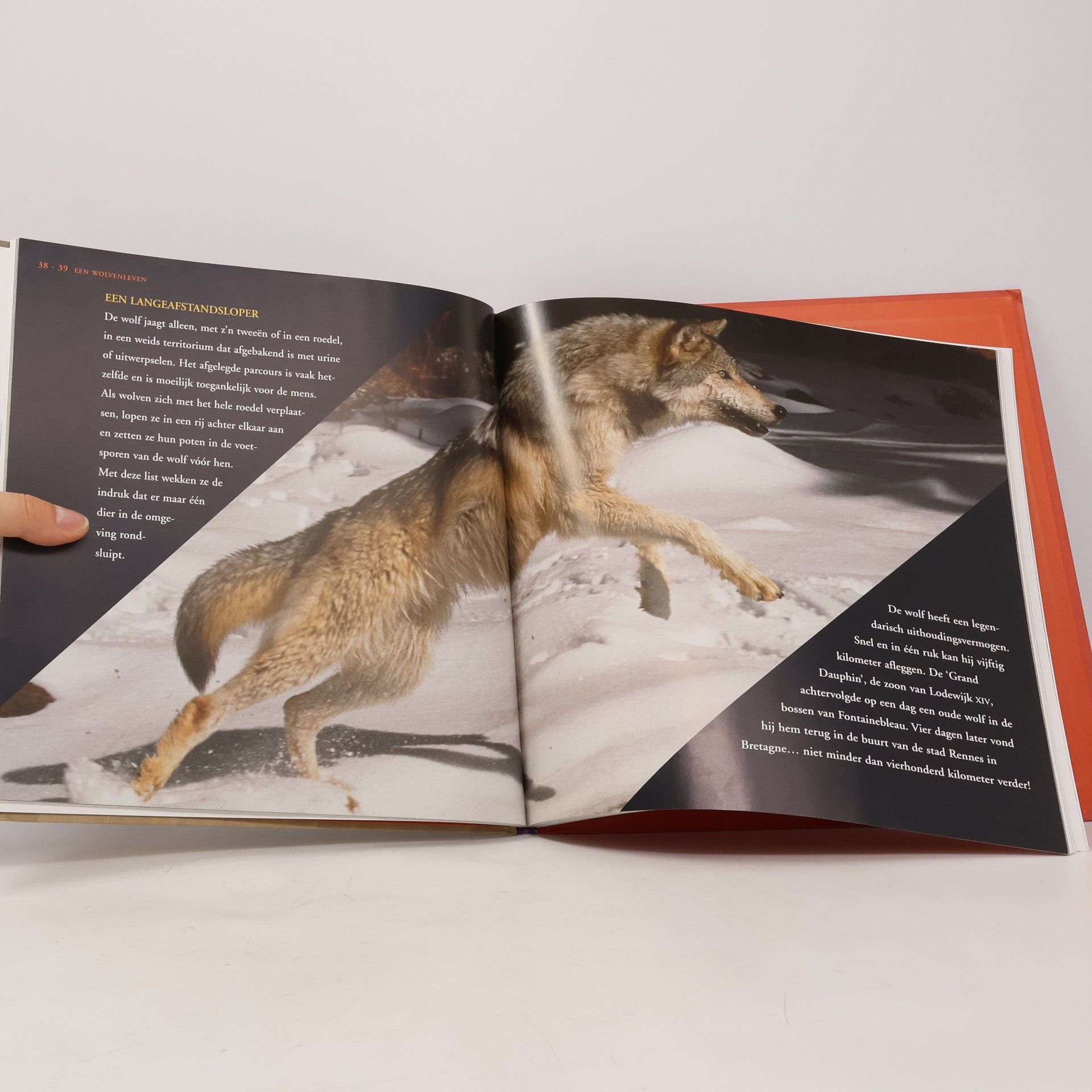 Marie Lagier Het boek van de wolf