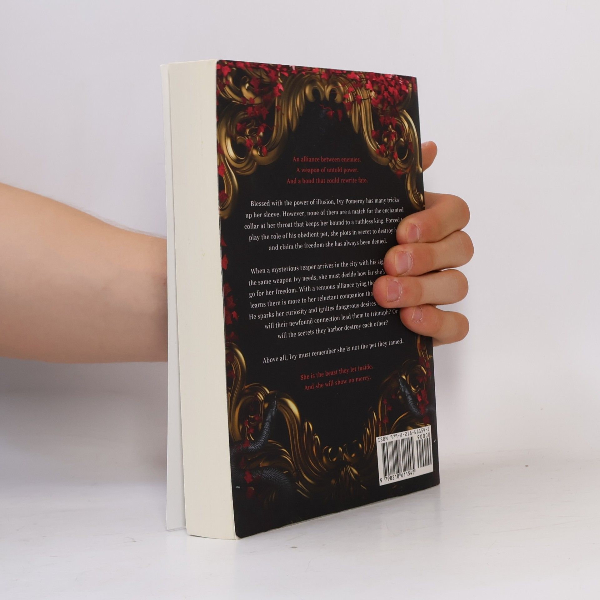 Madeline Taylor The Verran Isles Series - 1: Heir of Illusion