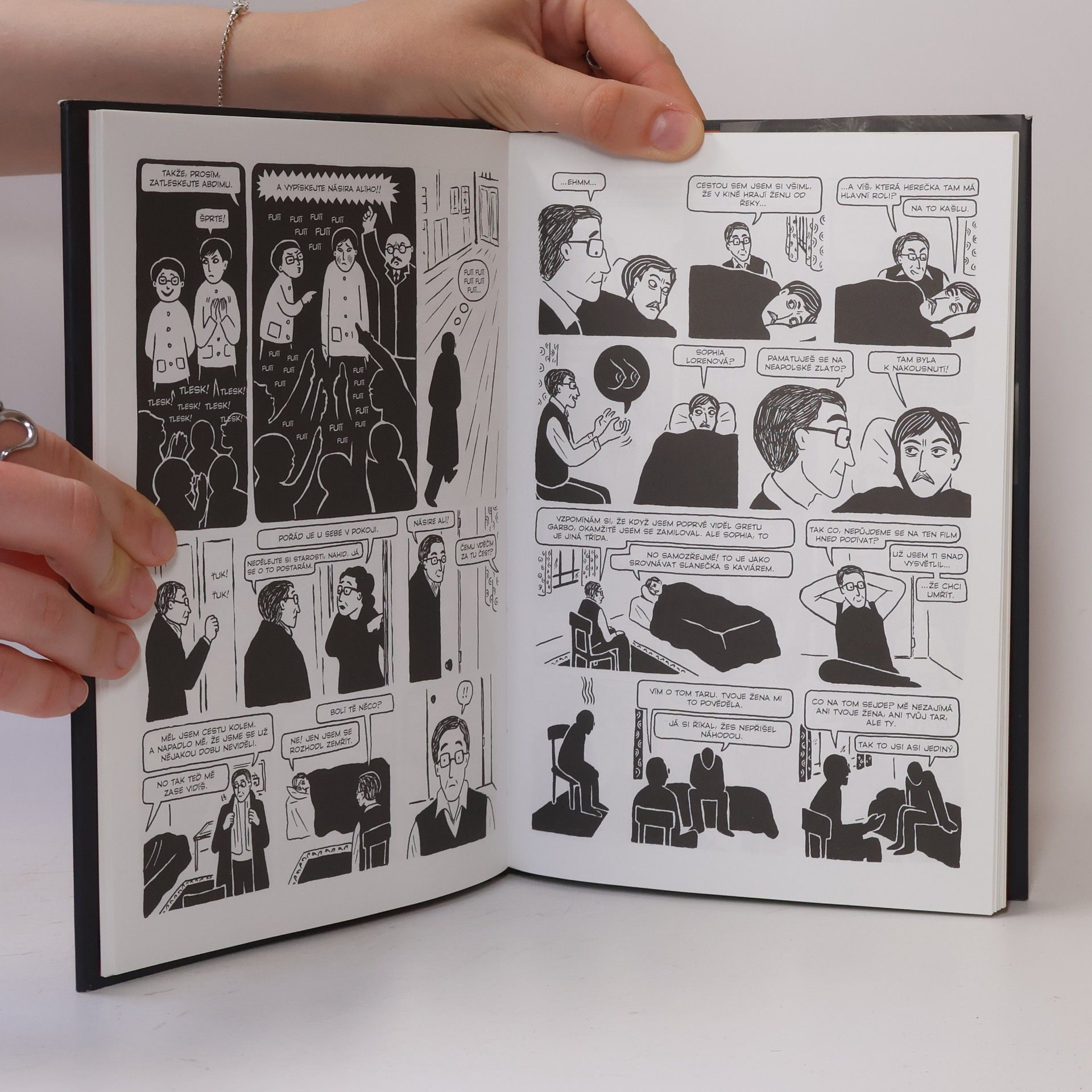Marjane Satrapi Kuře na švestkách