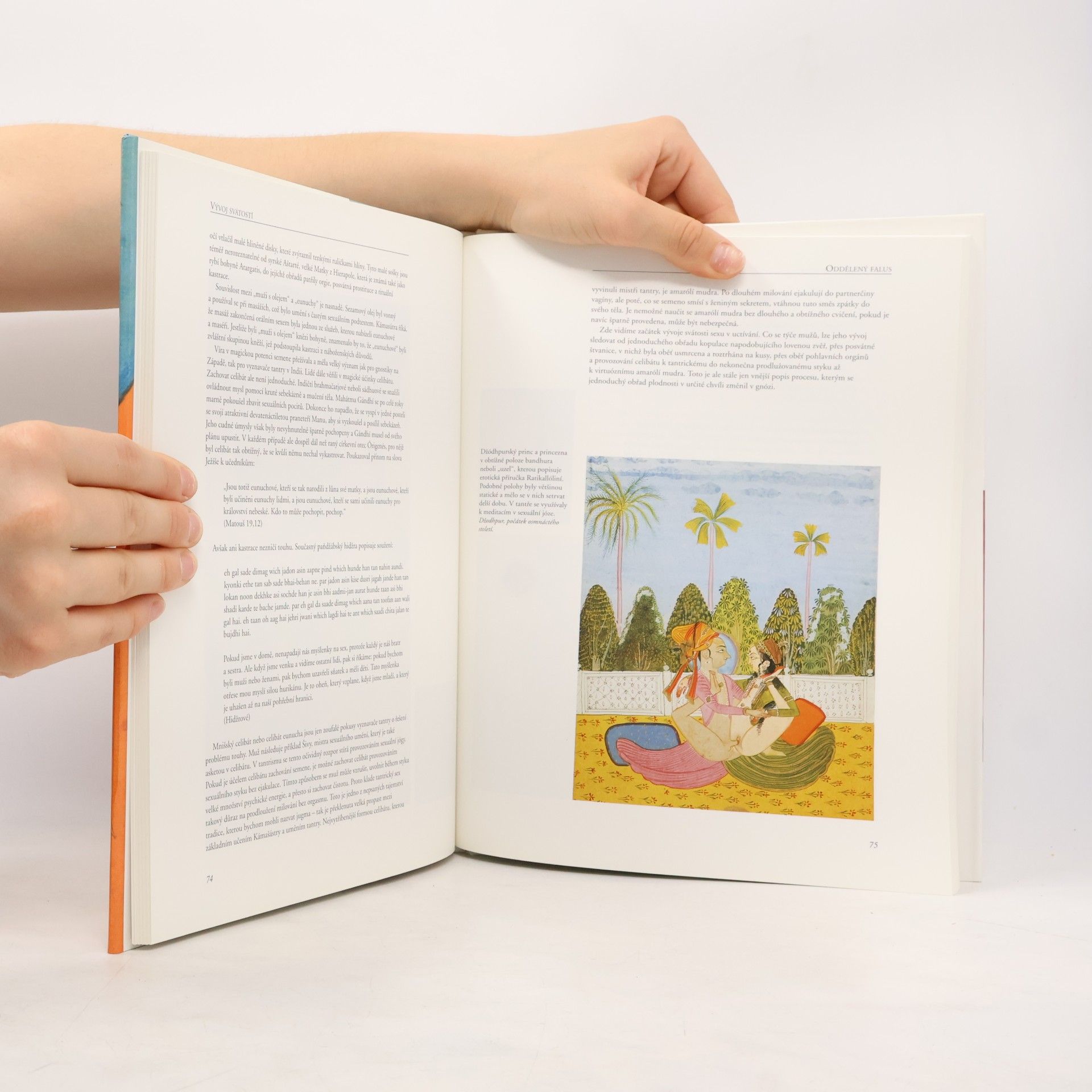 Indra Sinha Tantra: Kult extáze