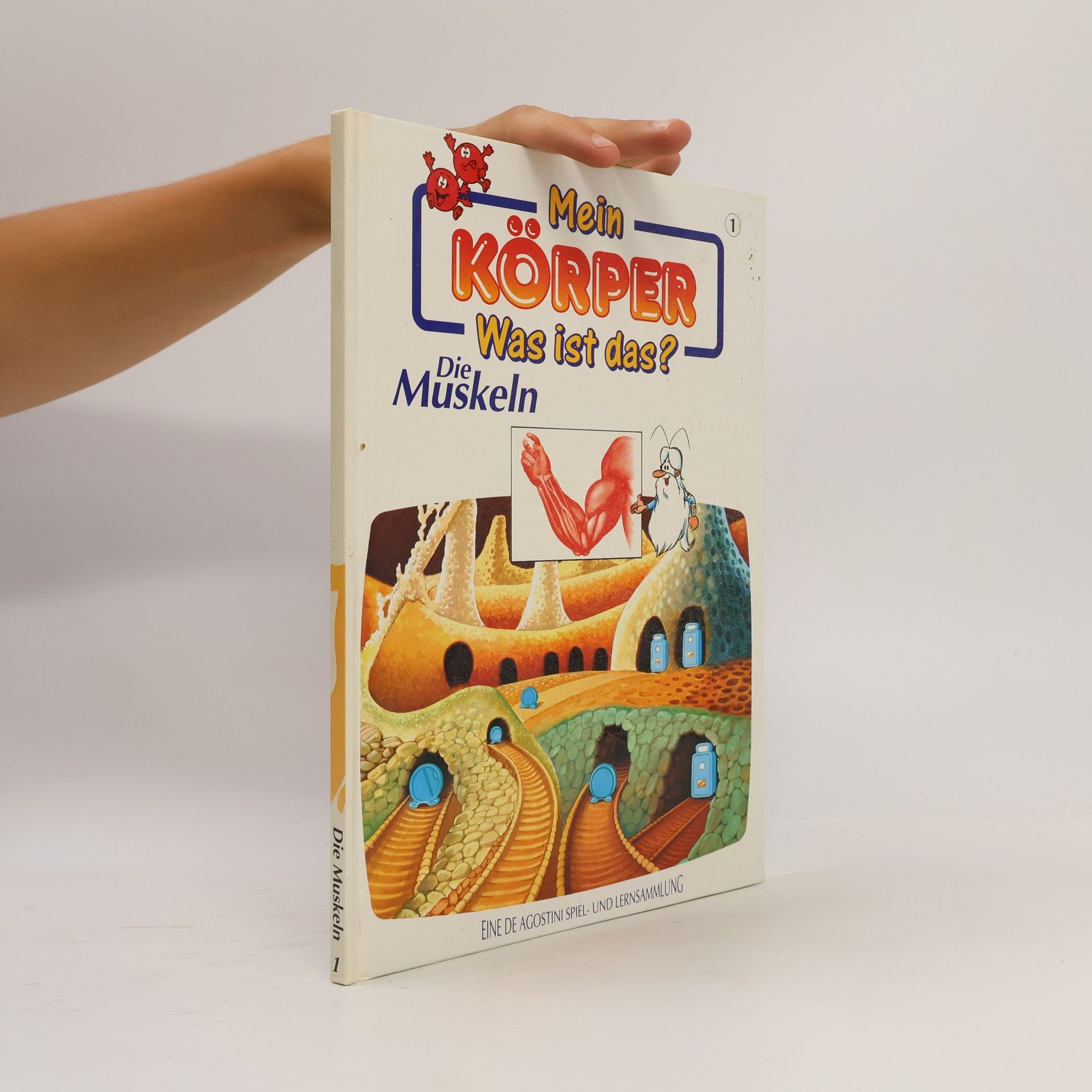 Autorenkollektiv Mein Körper. Was ist das? Die Muskeln