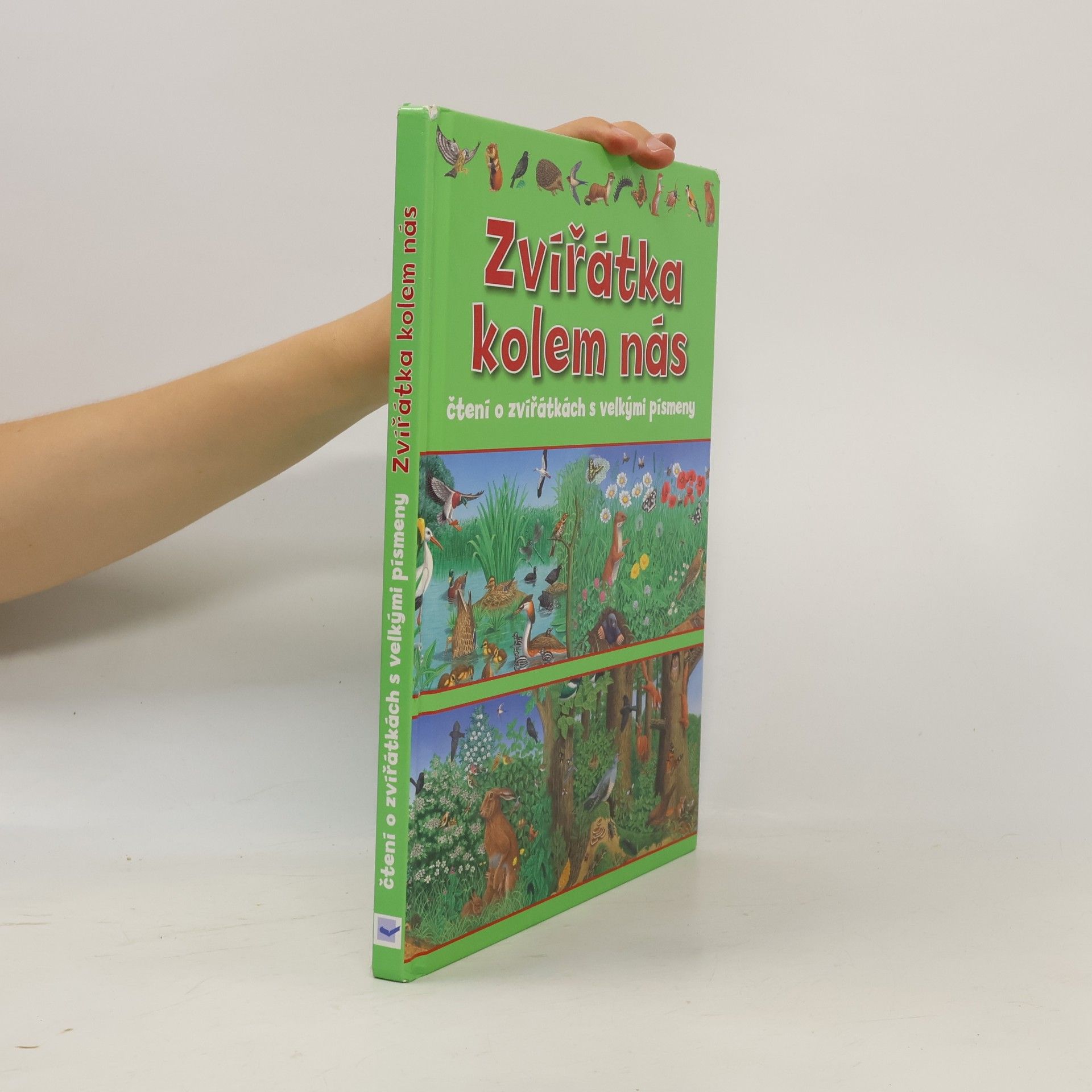 Autorenkollektiv Zvířátka kolem nás : čtení o zvířátkách s velkými písmeny
