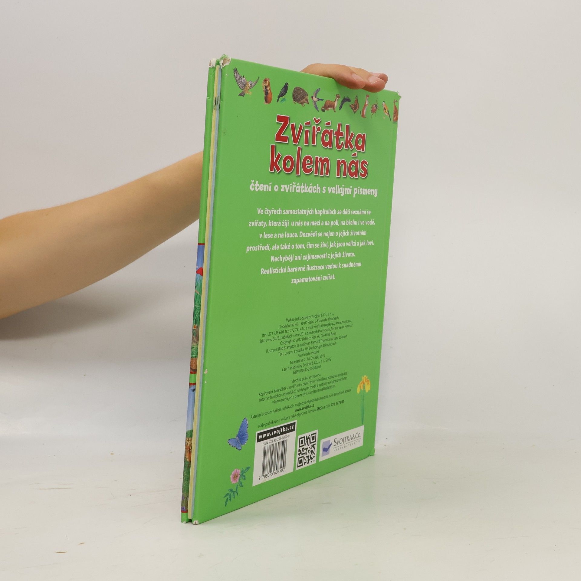 Autorenkollektiv Zvířátka kolem nás : čtení o zvířátkách s velkými písmeny