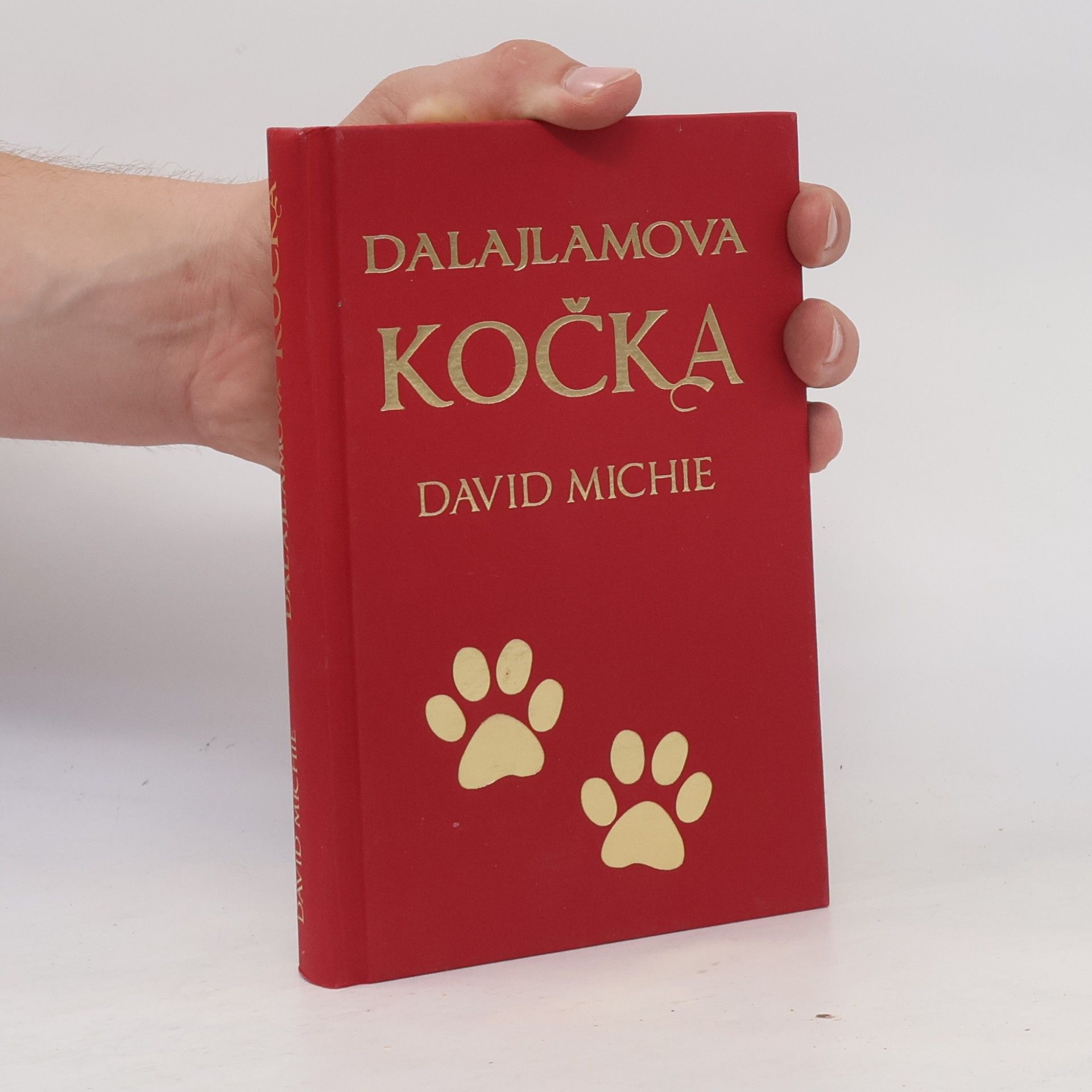 David Michie Dalajlamova kočka