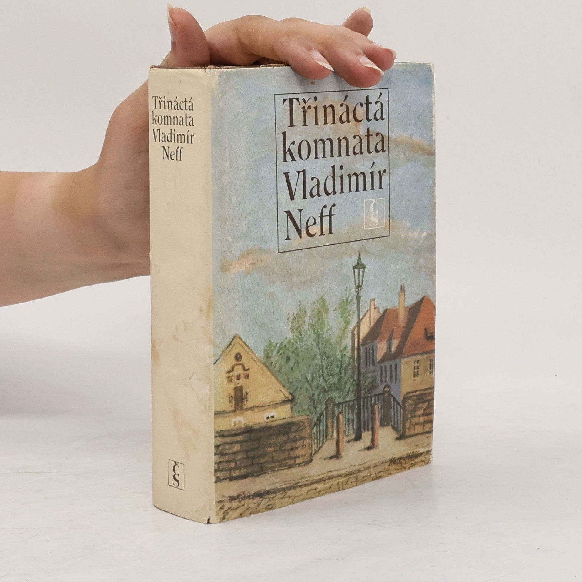 Vladimír Neff Třináctá komnata