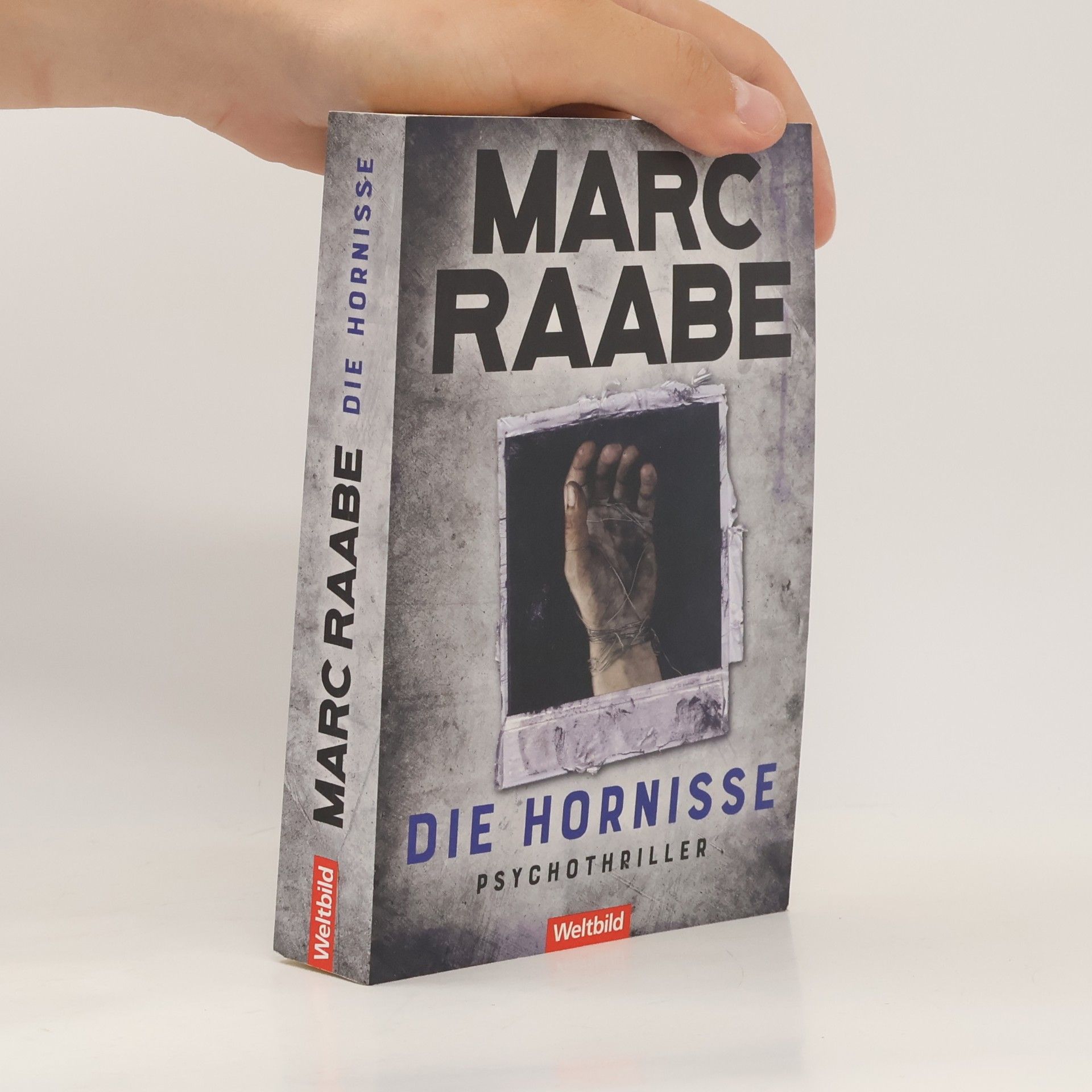Marc Raabe Die Hornisse