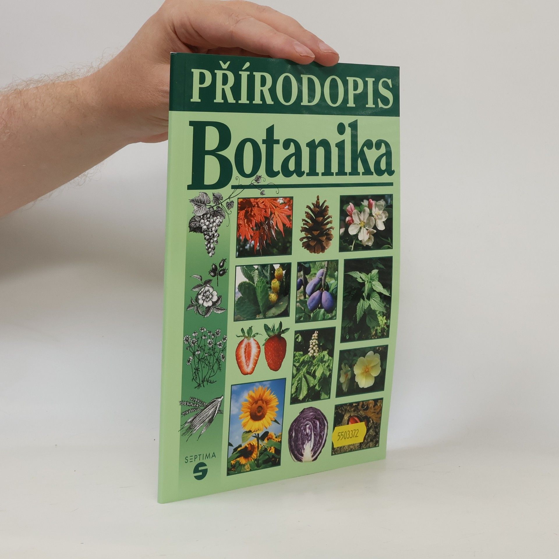 Přírodopis - Botanika