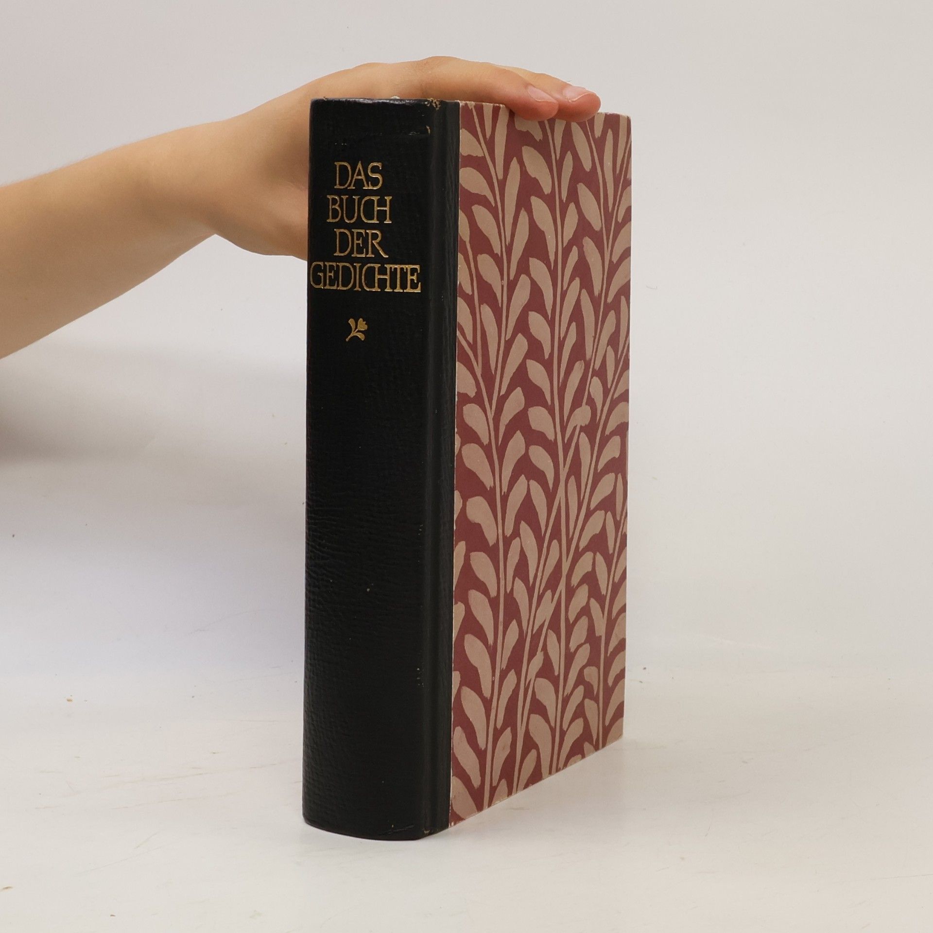 Marianne Hochhuth Das Buch der Gedichte