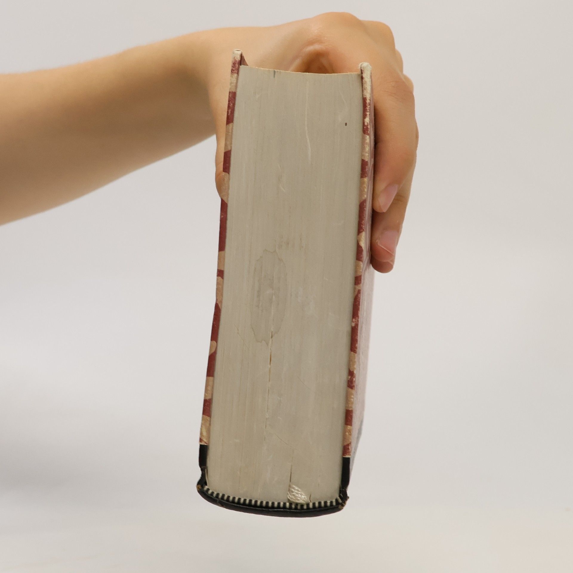 Marianne Hochhuth Das Buch der Gedichte