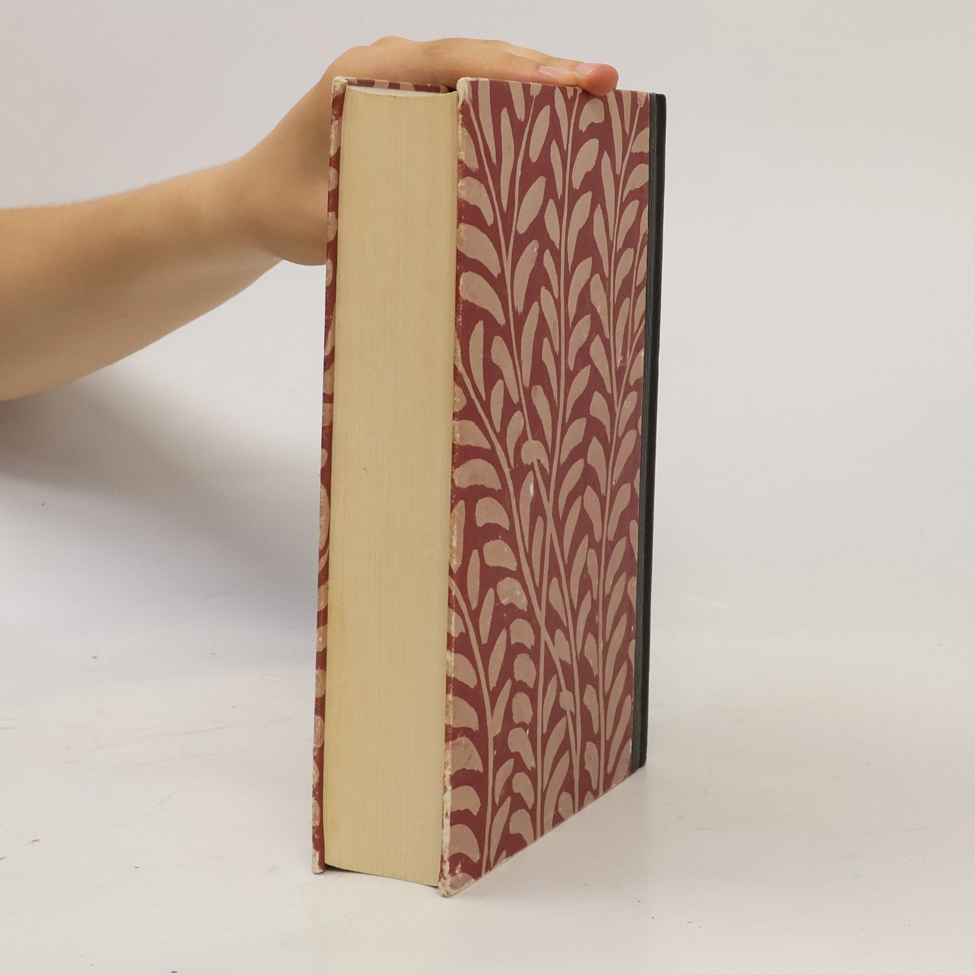 Marianne Hochhuth Das Buch der Gedichte