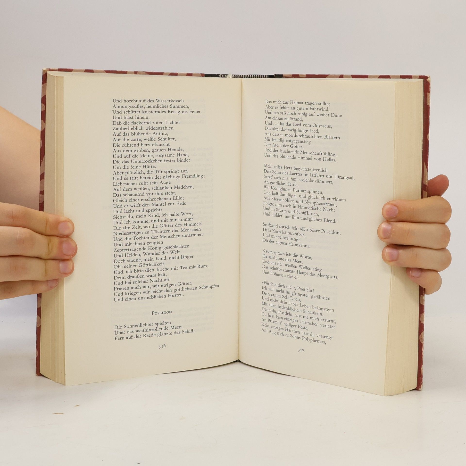 Marianne Hochhuth Das Buch der Gedichte