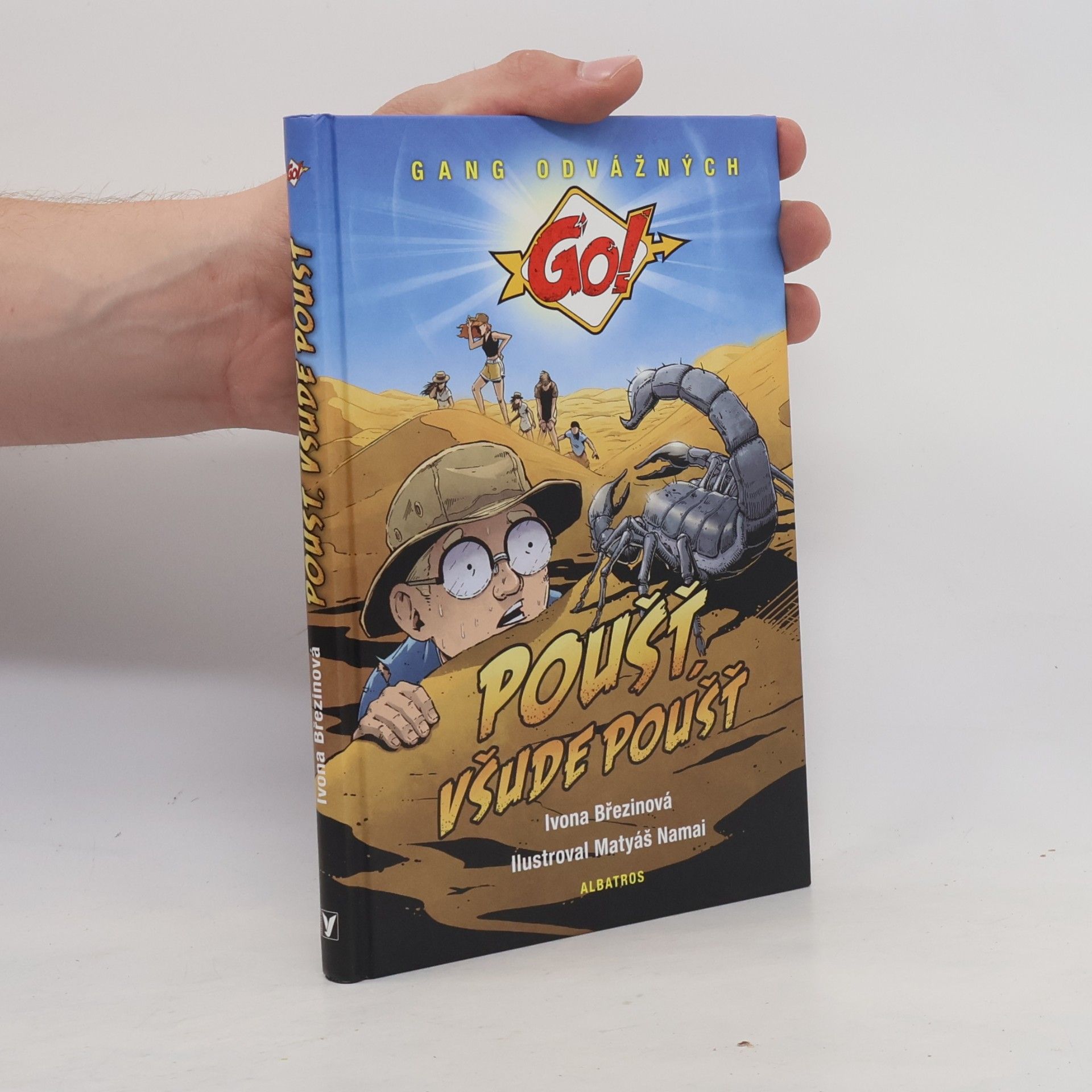 Poušť, všude poušť