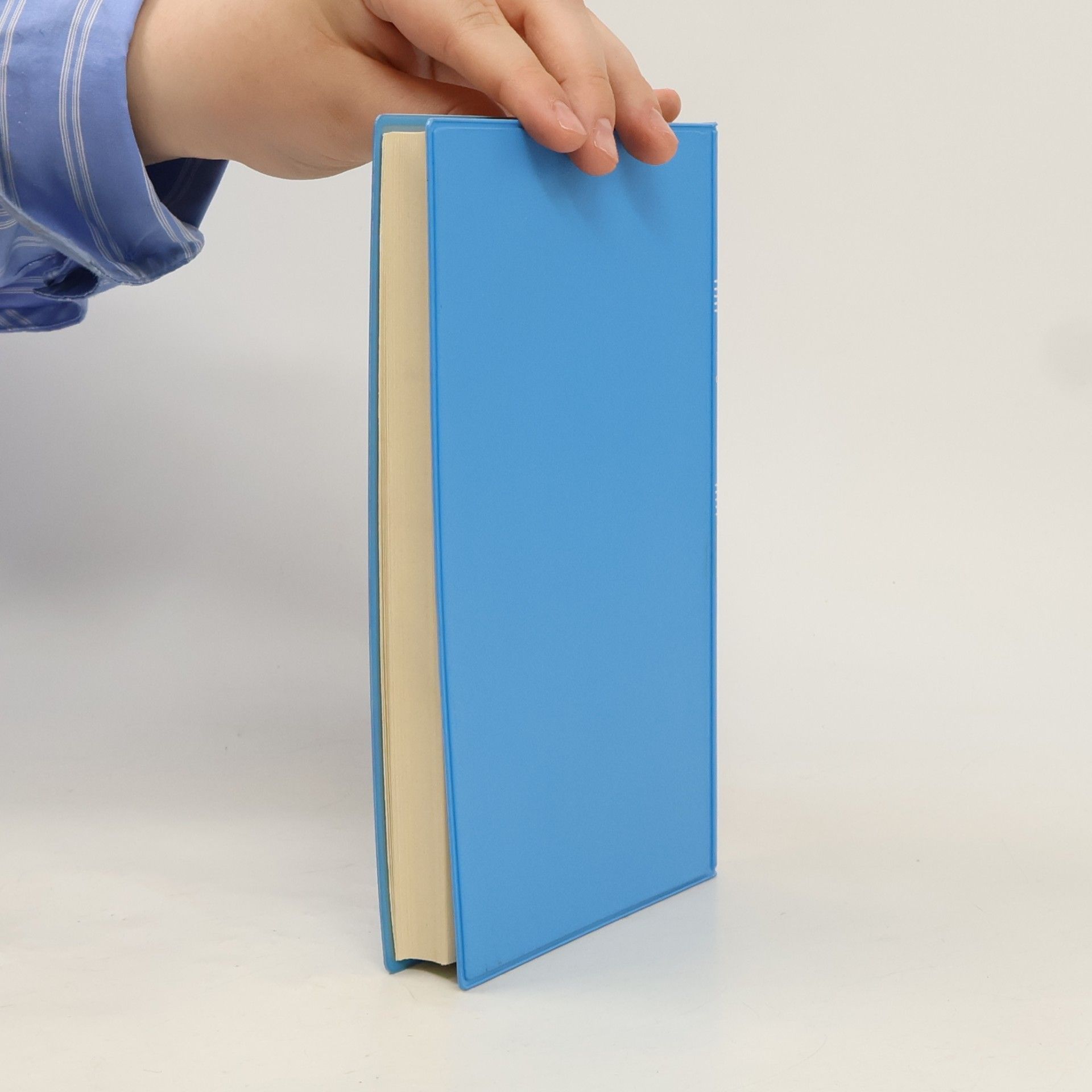 Taschenbuch mathematisches Grundwissen
