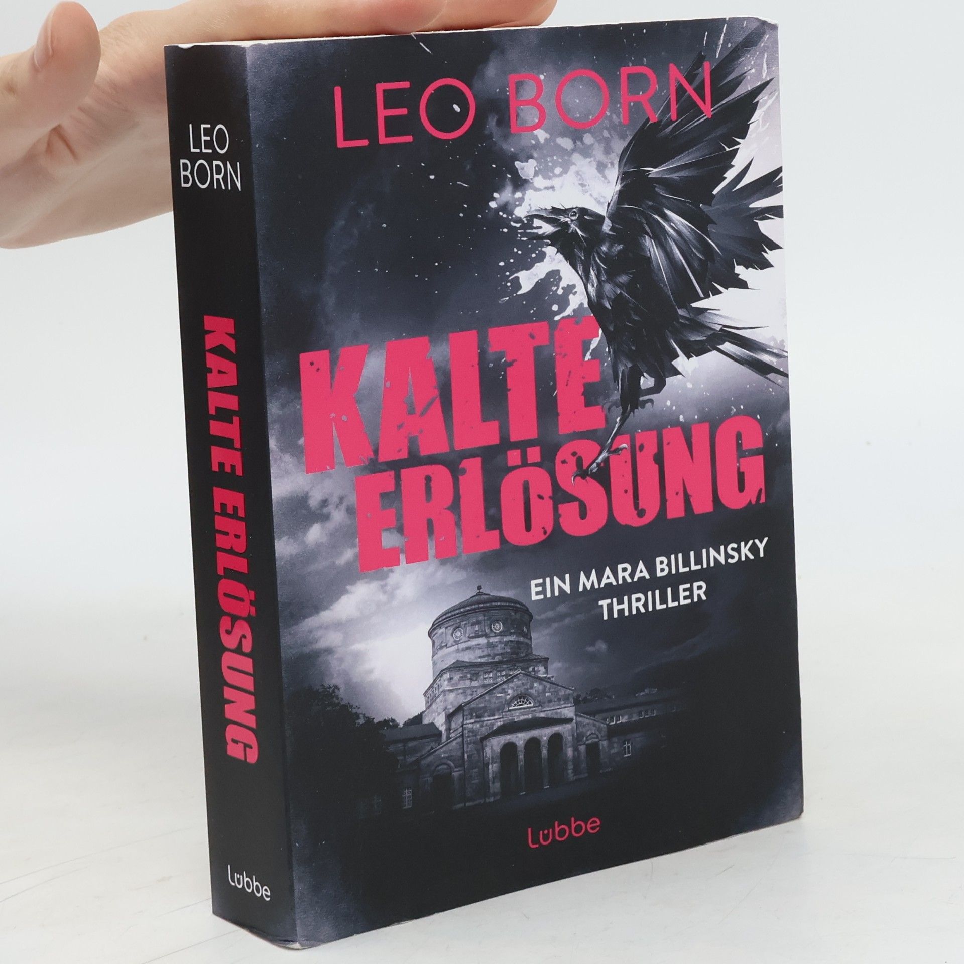 Leo Born Kalte Erlösung. Ein Mara-Billinsky-Thriller
