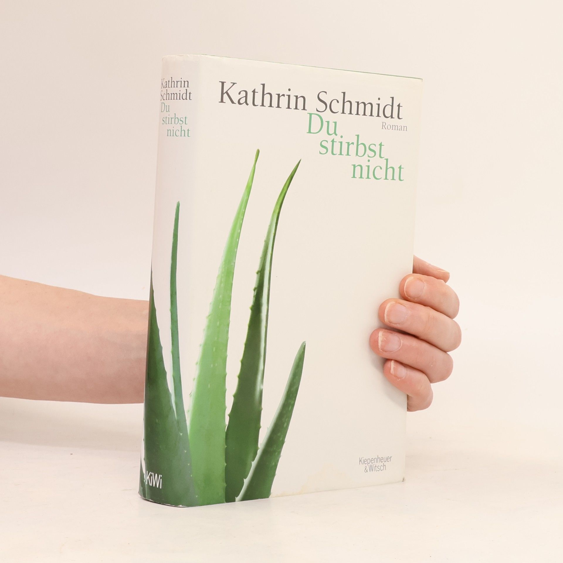 Kathrin Schmidt Du stirbst nicht