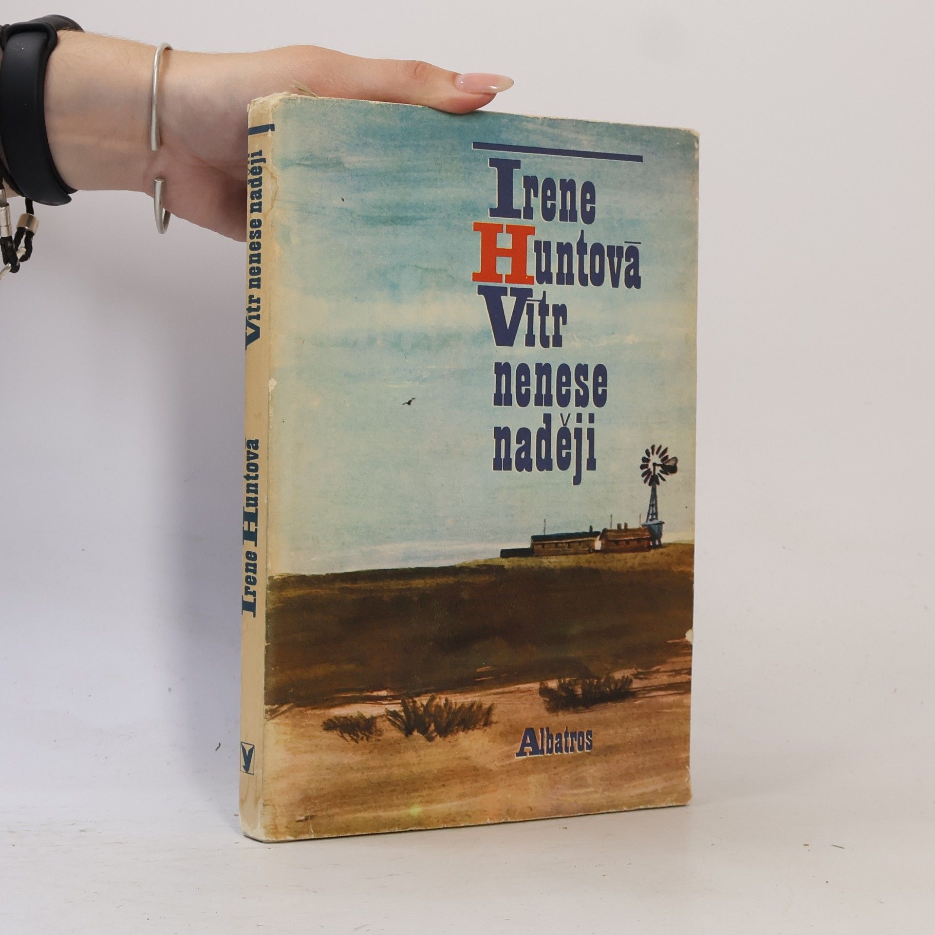 Irene Hunt Vítr nenese naději