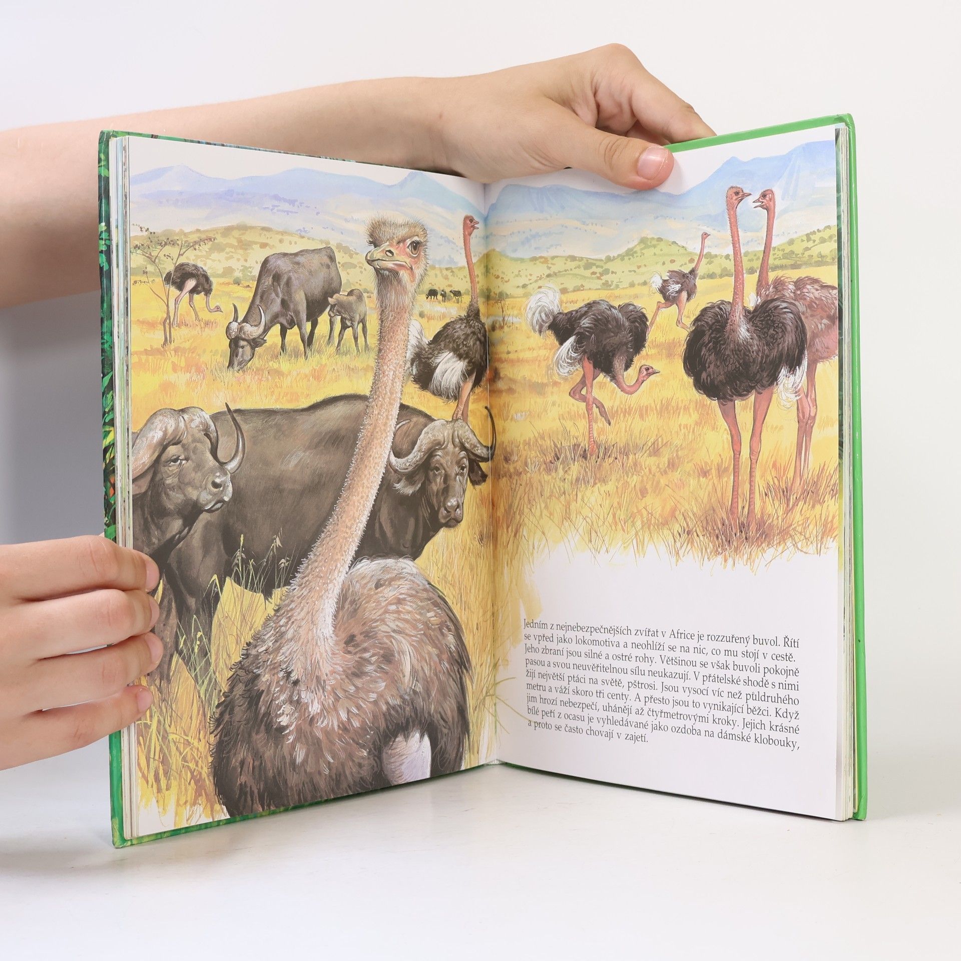 Autores varios Má nejkrásnější knížka o zvířátkách
