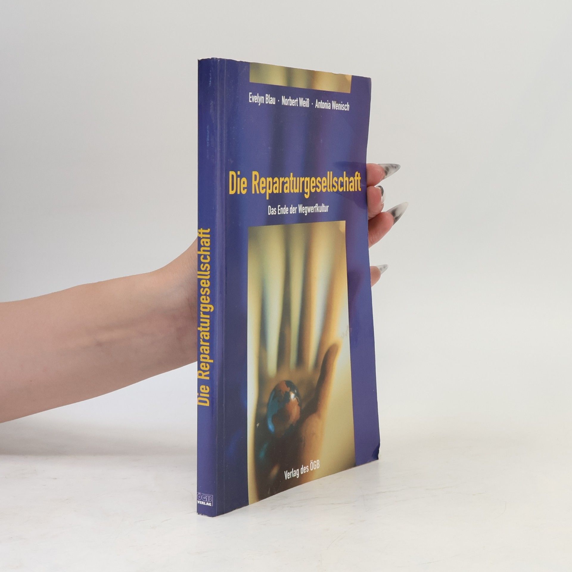 Evelyn Blau Die Reparaturgesellschaft