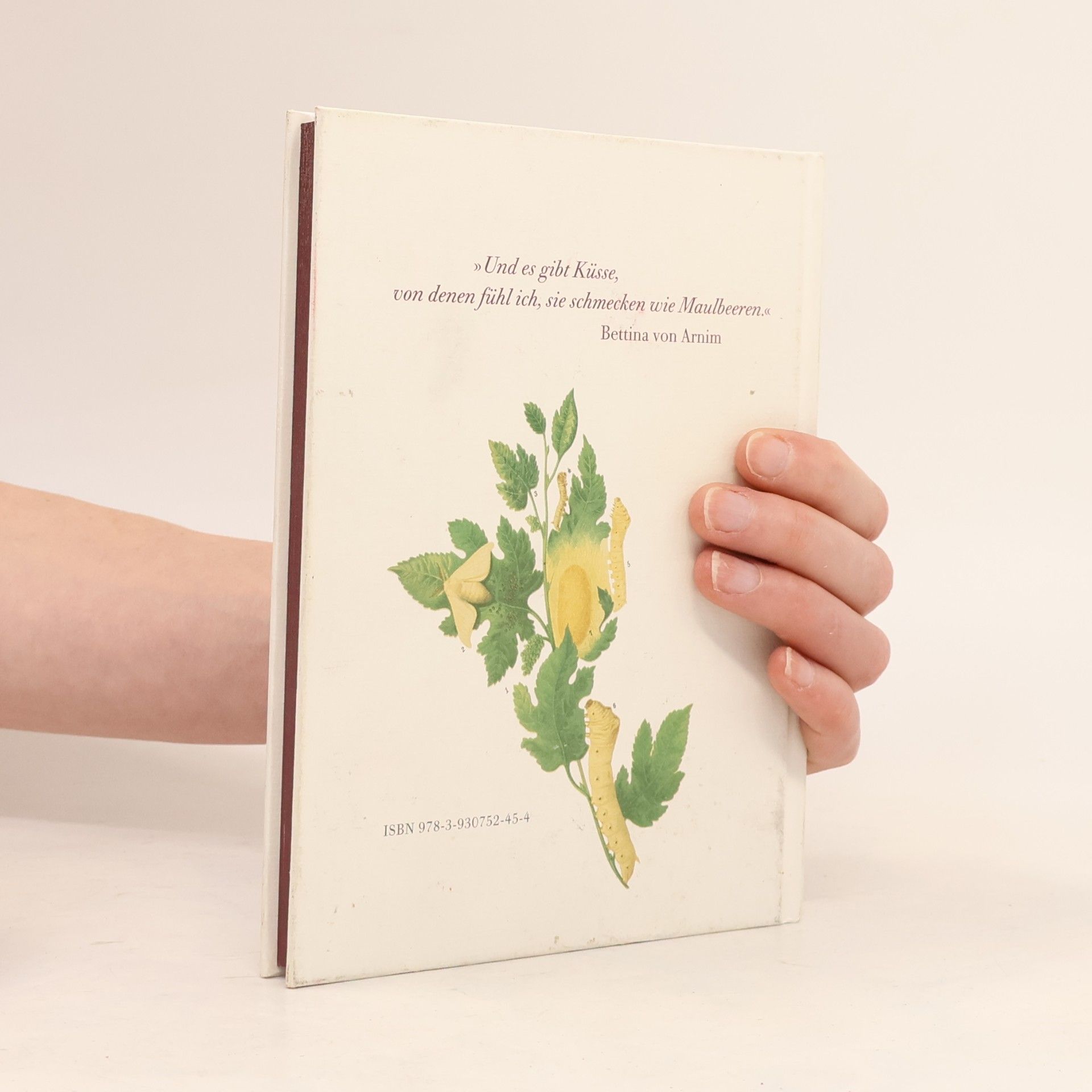 Marina Heilmeyer Maulbeeren - zwischen Glaube und Hoffnung