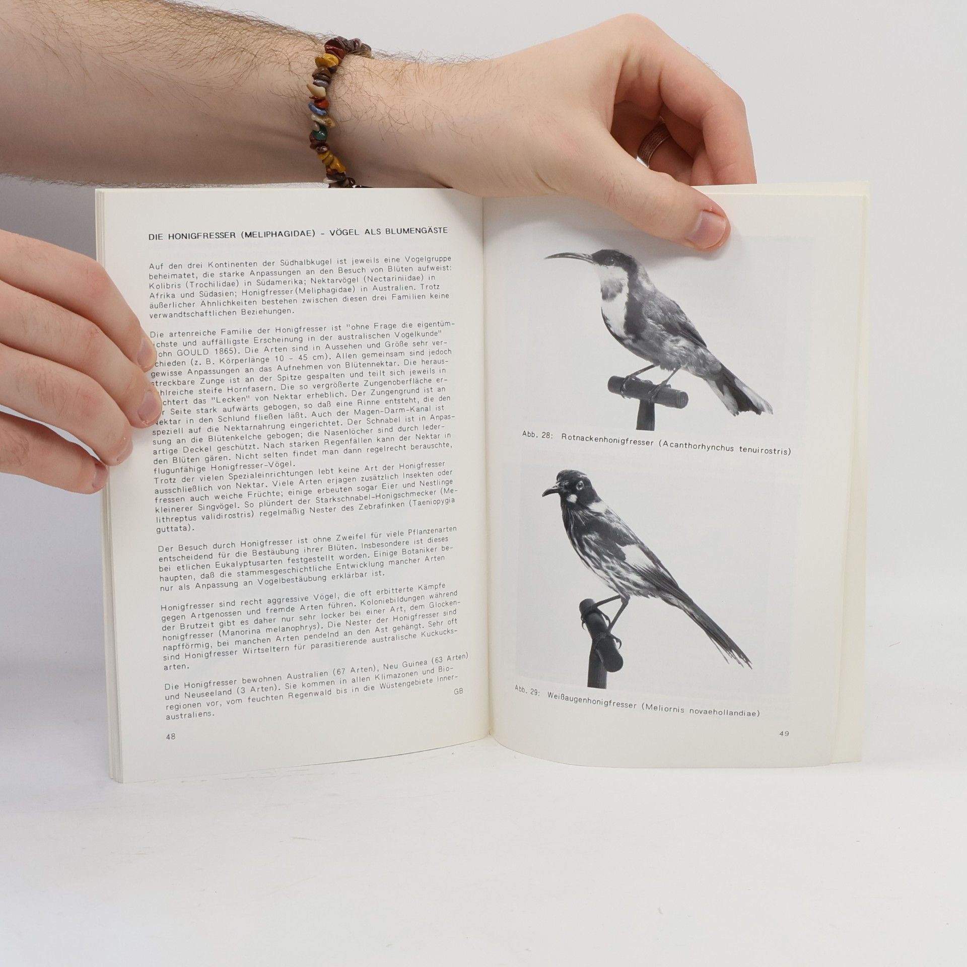 Hans Dionys Dossenbach Die Tierwelt Australiens