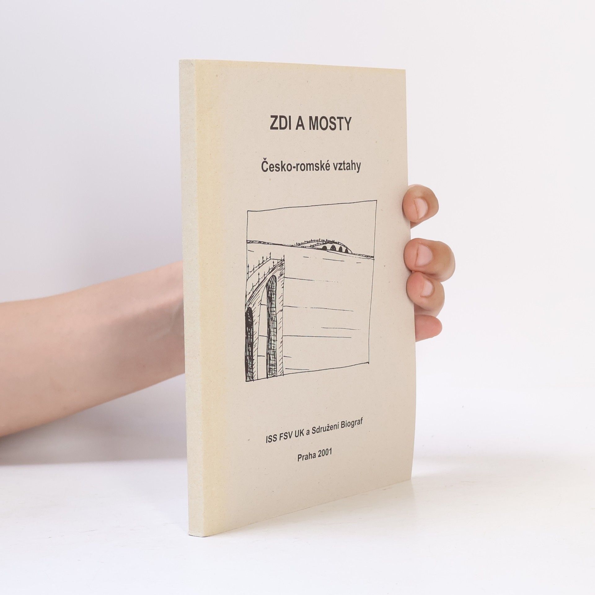 Olga Šmídová Matoušová Zdi a mosty