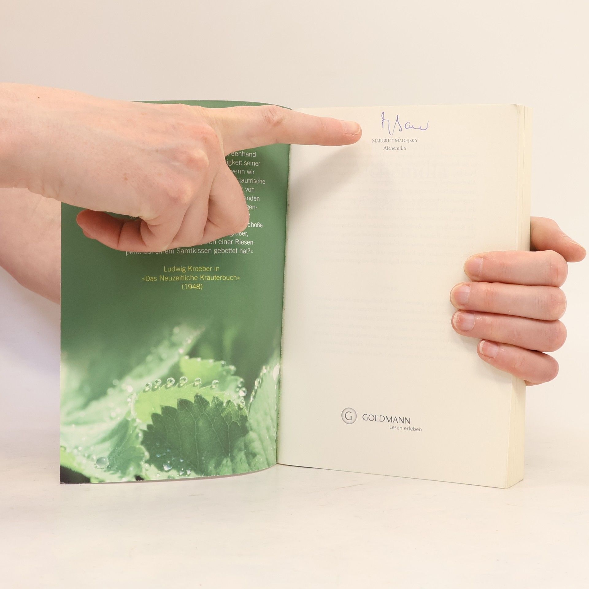 Margret Madejsky Alchemilla
