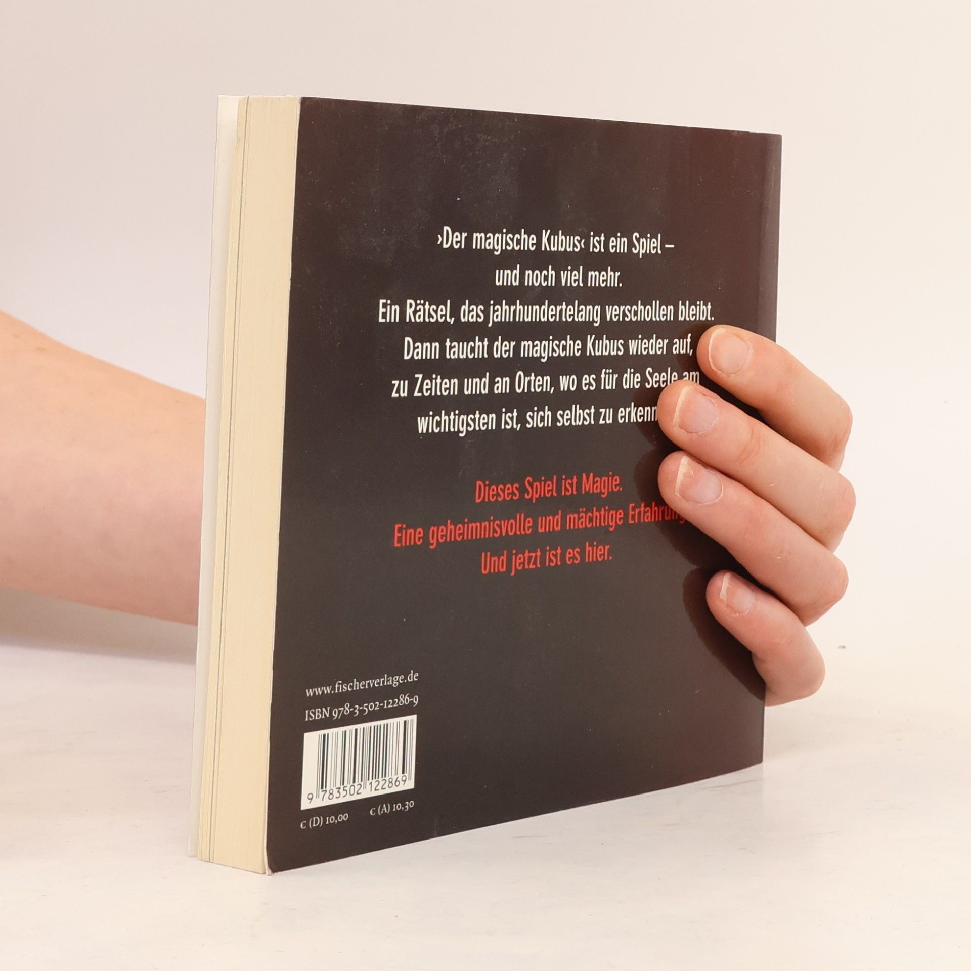 Annie Gottlieb Der magische Kubus