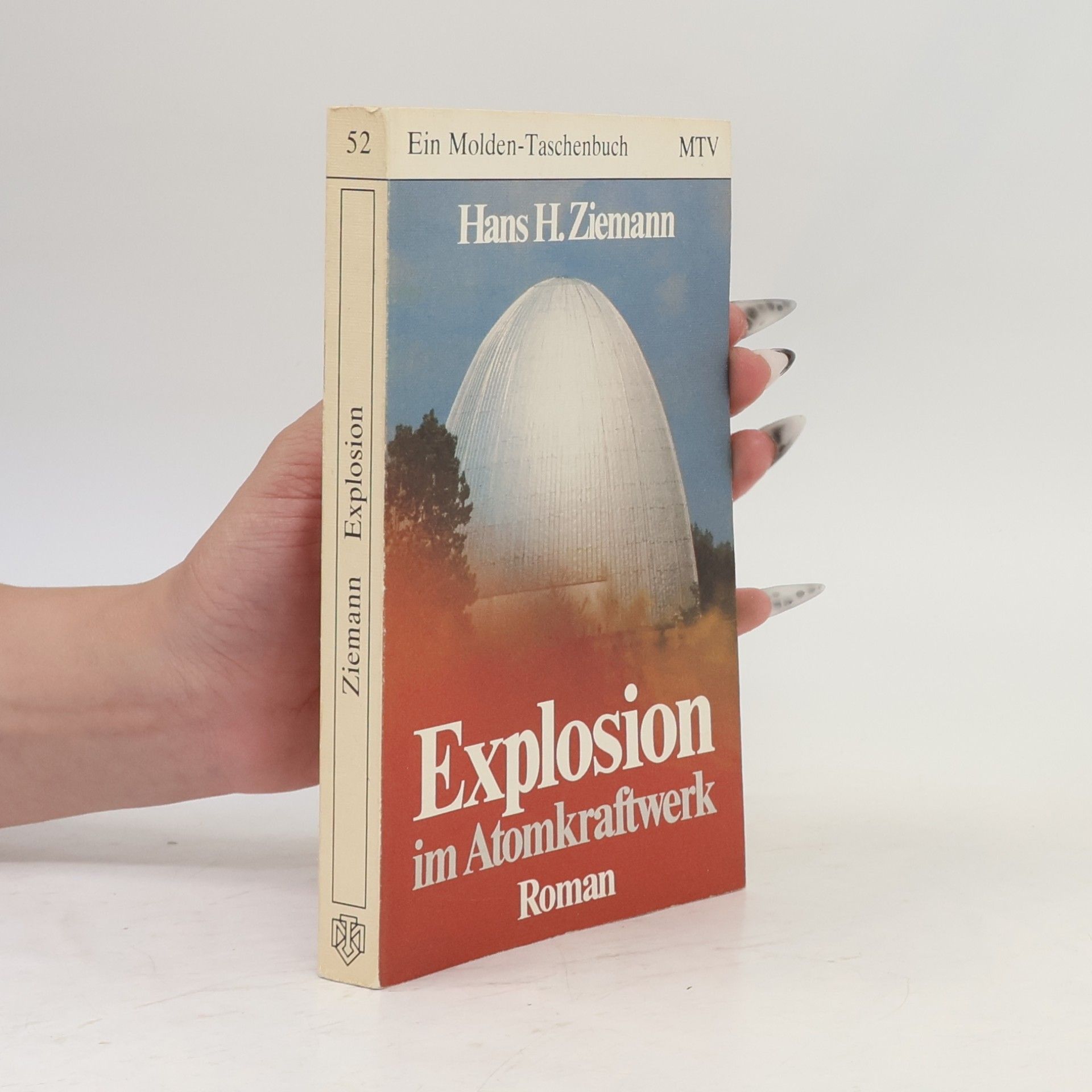 Hans Heinrich Ziemann Explosion im Atomkraftwerk